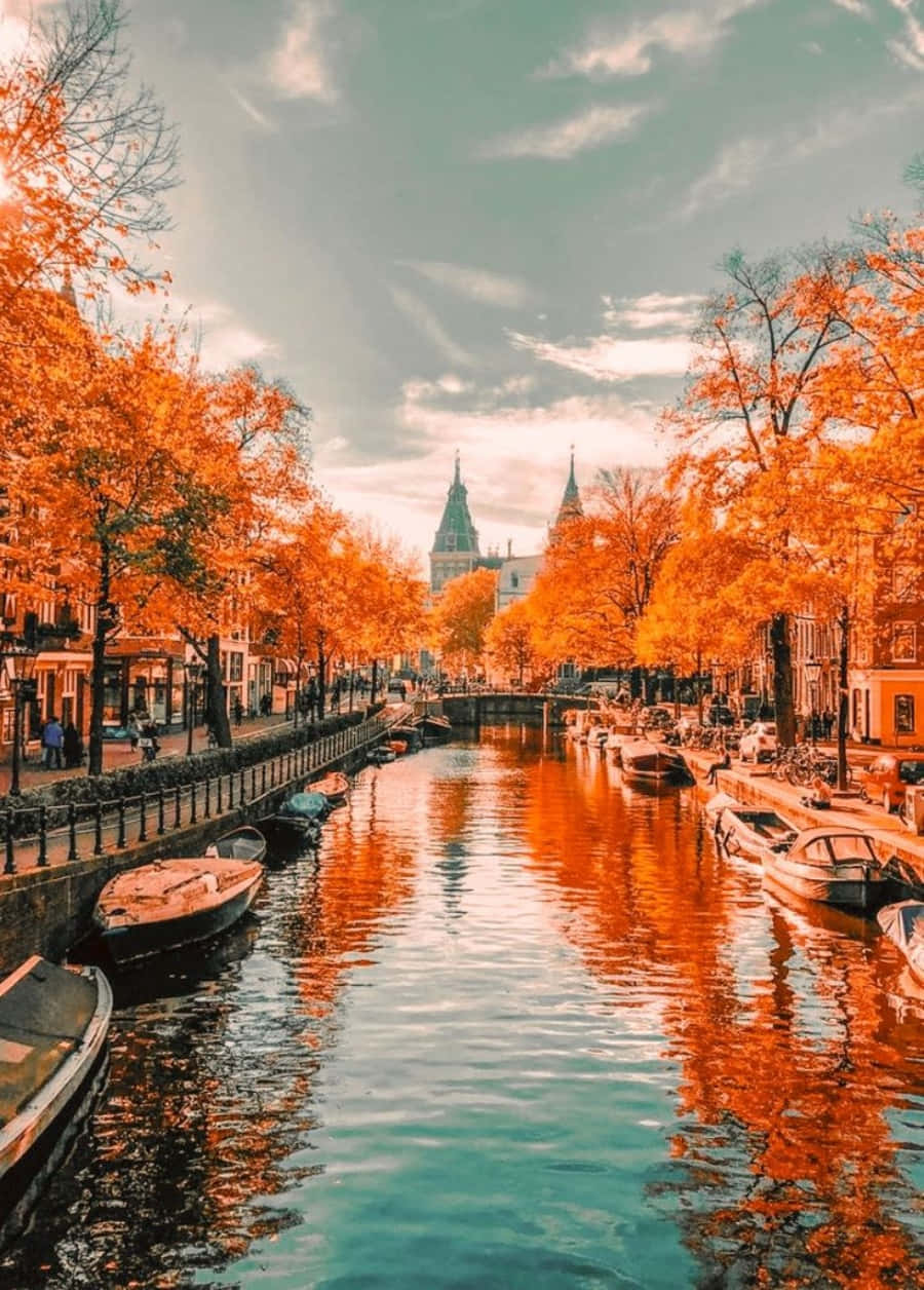 Autumn Season 桌布 壁紙 — 充滿活力的橙色秋天樹木排列在一條寧靜的運河旁，倒映著天空和船隻，構成如畫的歐洲城市景觀。