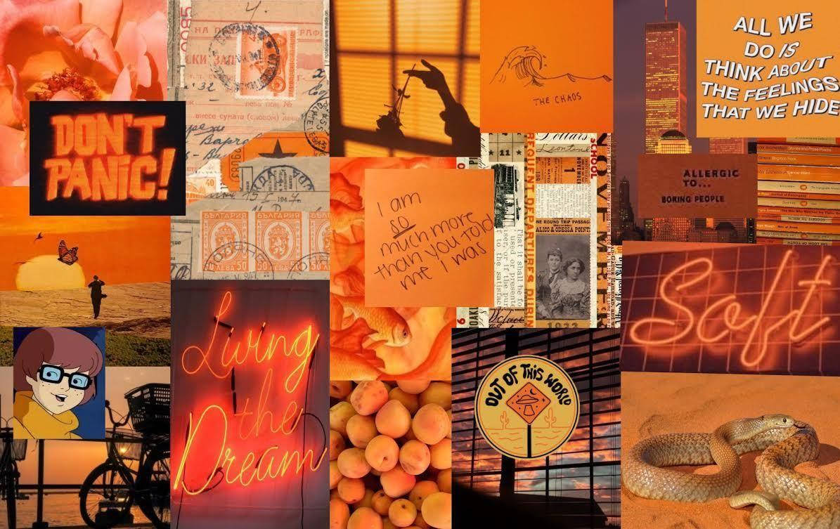 indie aesthetic laptop 桌布 壁紙 — 充滿活力的橙色調拼貼畫，包含懷舊照片、語錄和霓虹燈標誌，並有蛇和單車。