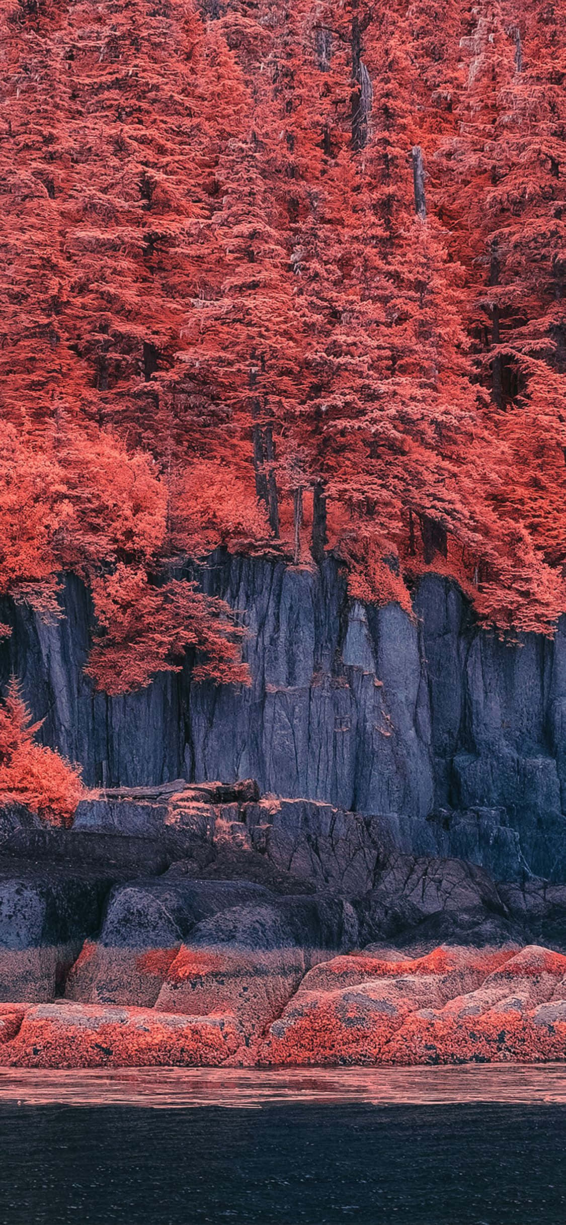 霧中夕照的壯麗山巒 壁紙 — 充滿活力的深紅色樹木依附在崎嶇的懸崖上，俯瞰著平靜的深色水面，光線戲劇性。