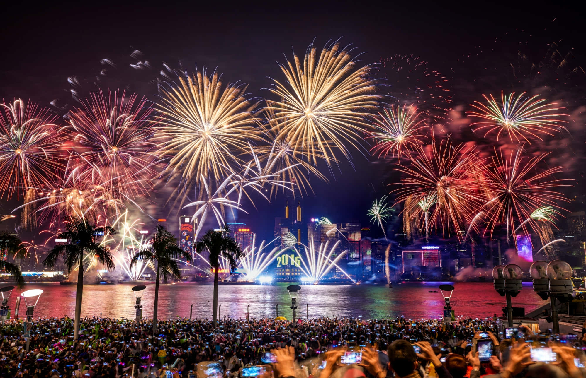 New Years Eve 桌布 壁紙 — 充滿活力的煙花在閃爍的城市天際線上綻放，人群聚集在海濱慶祝。