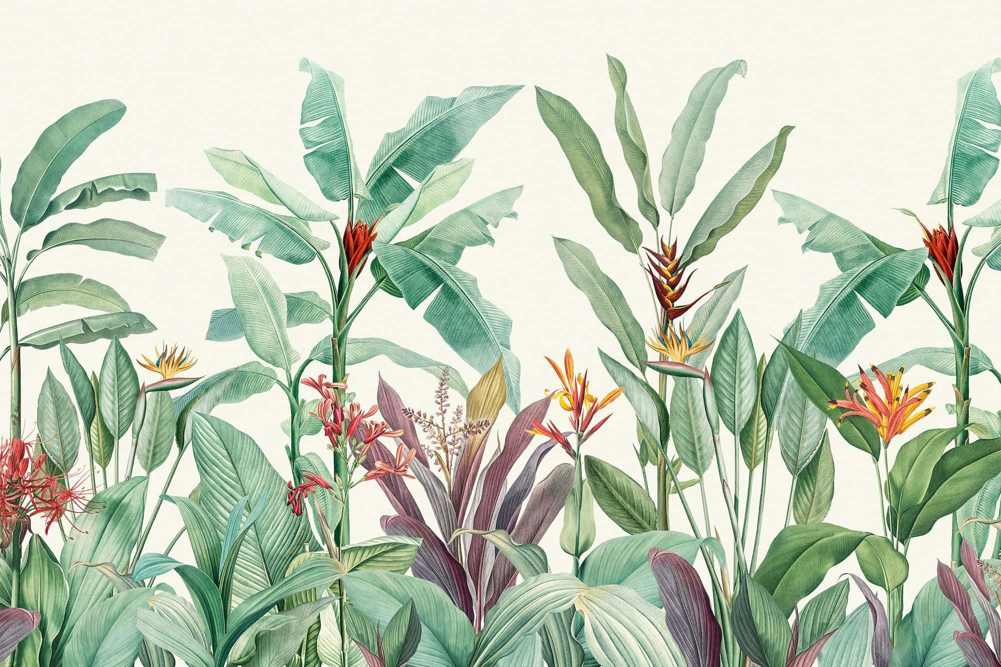 Botanical 桌布 壁紙 — 充滿活力的熱帶植物，包括香蕉葉和異國花卉，以柔和的粉彩調在奶油色背景上呈現。
