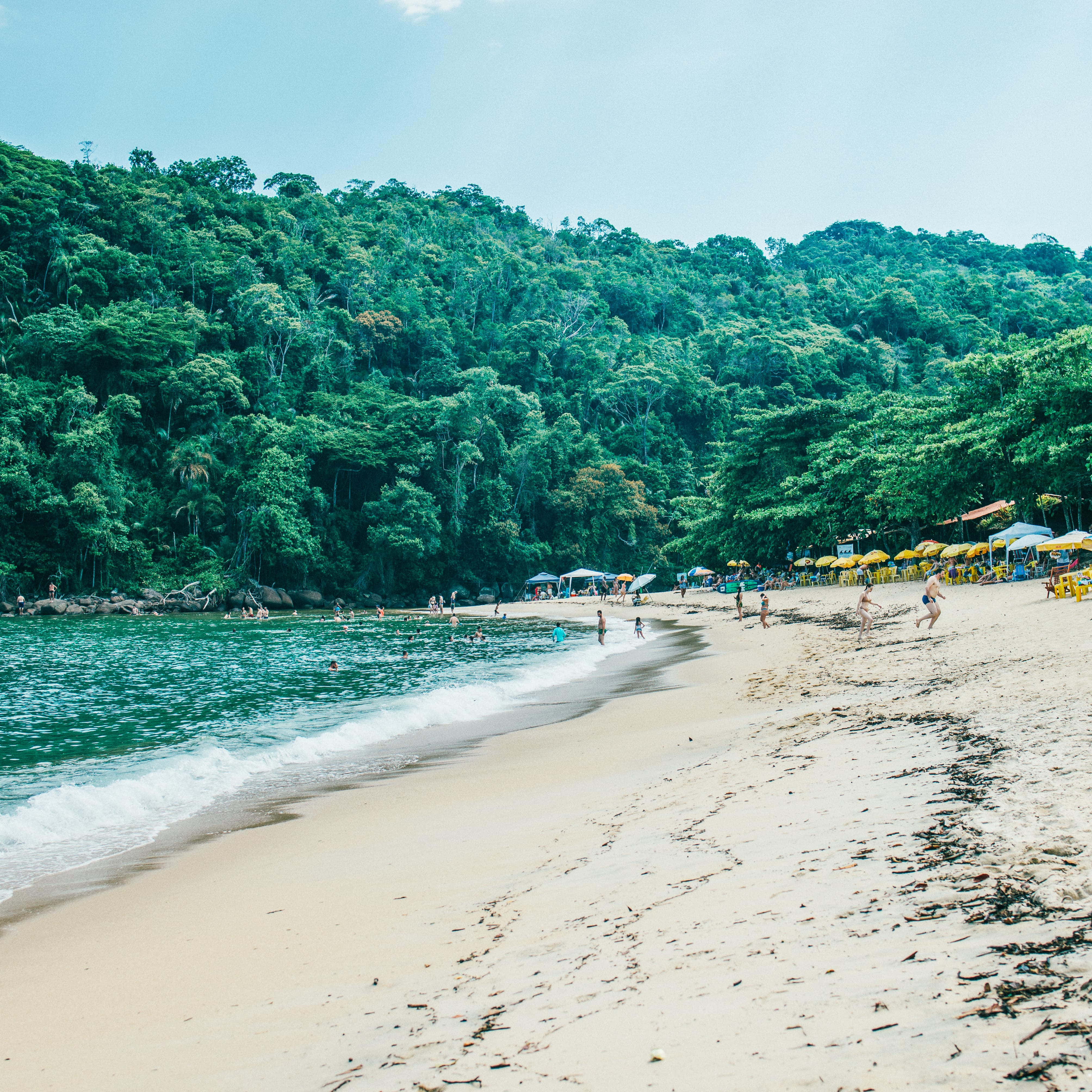 Brazilian Beach 桌布 壁紙 — 充滿活力的熱帶海灘，碧綠的海水、溫柔的海浪，沙灘後方是茂密的綠色叢林山丘，沙灘上點綴著色彩繽紛的遮陽傘和享受日光浴的人們。