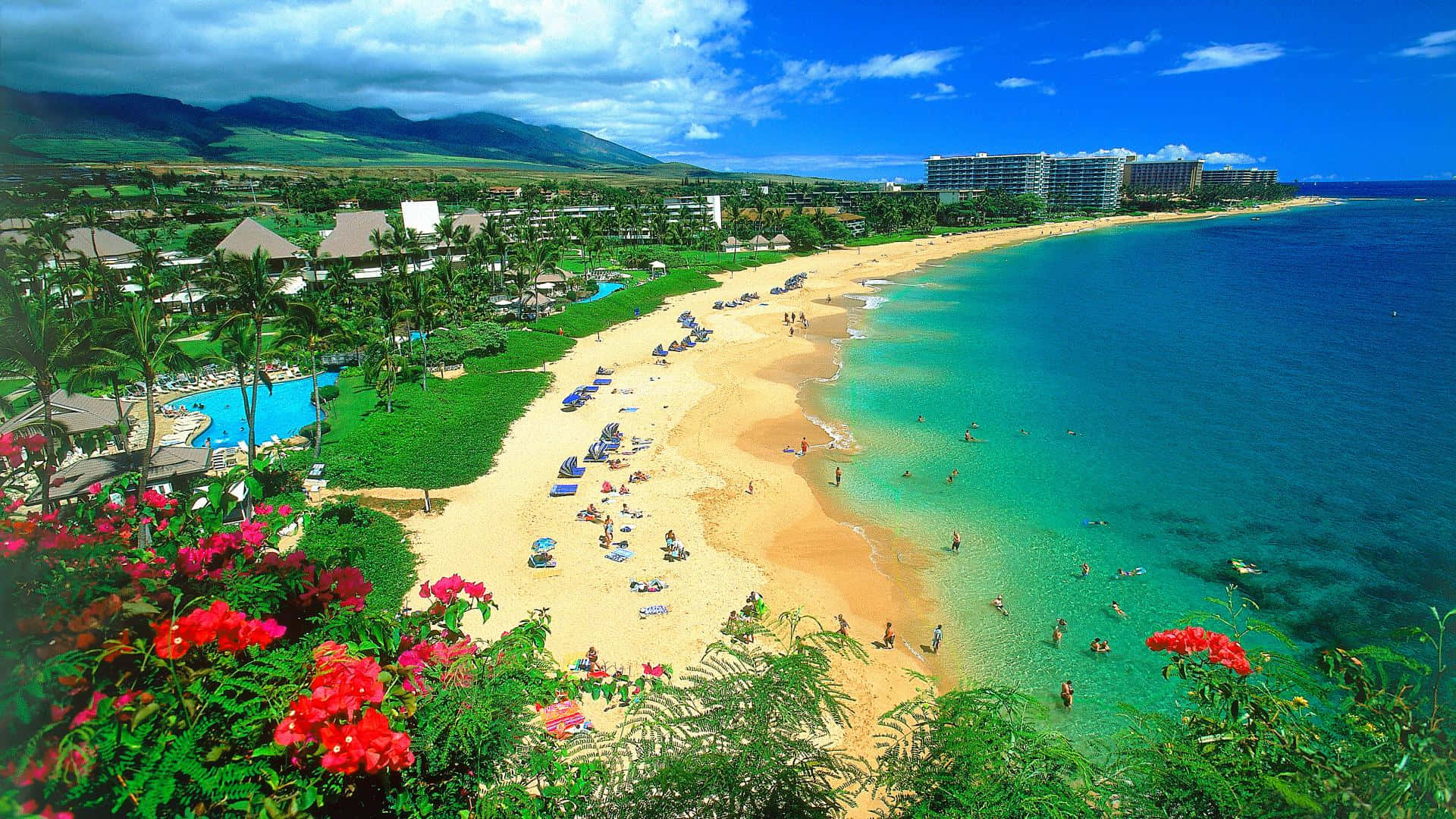 HD Beach 桌布 壁紙 — 充滿活力的熱帶海灘場景，有碧綠的海水、金色的沙灘、茂密的綠植和度假村建築，在明亮的藍天下。