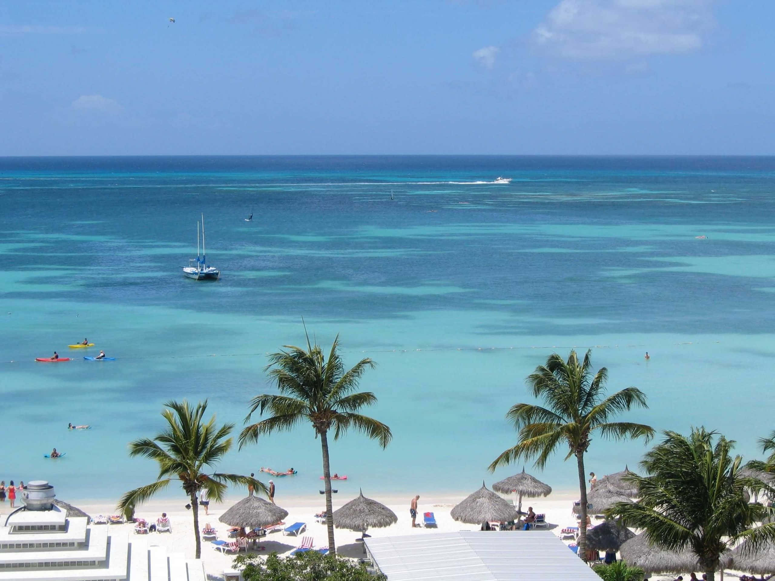 Aruba 桌布 壁紙 — 充滿活力的熱帶海灘場景，有碧綠的海水、棕櫚樹，人們在晴朗的藍天下享受皮划艇和日光躺椅。
