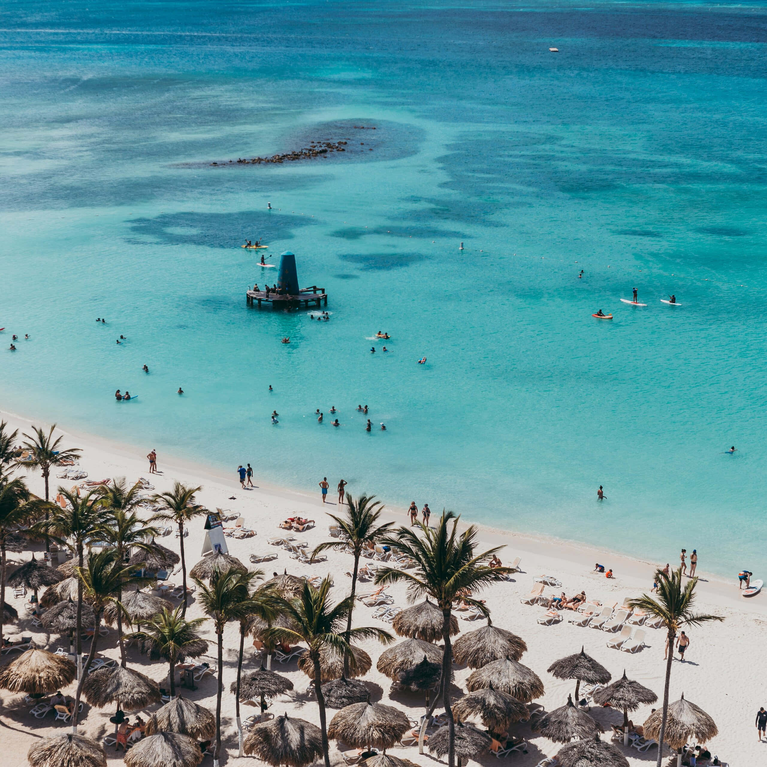 Aruba 桌布 壁紙 — 充滿活力的熱帶海灘鳥瞰圖，有碧綠的海水、棕櫚樹和人們在茅草傘下放鬆。