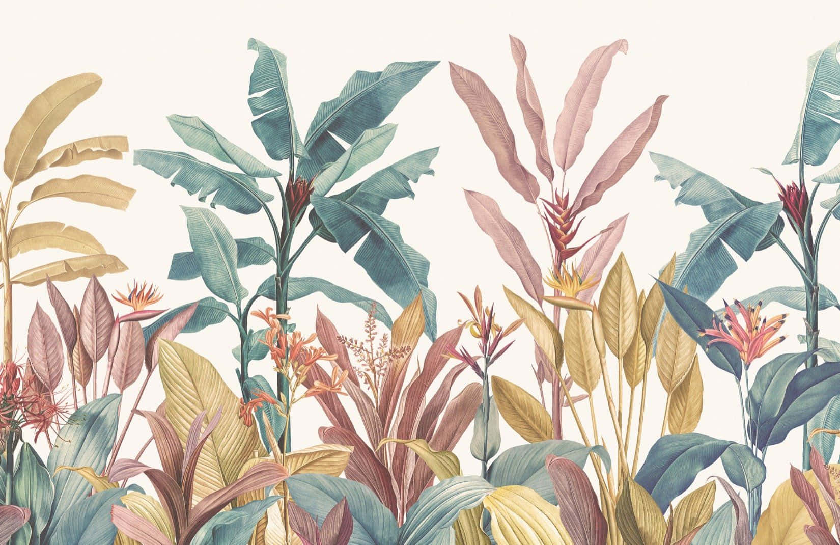 Minimalist Plant 桌布 壁紙 — 充滿活力的熱帶葉子，有香蕉葉和天堂鳥花，以柔和的粉彩調配在淺色背景上。