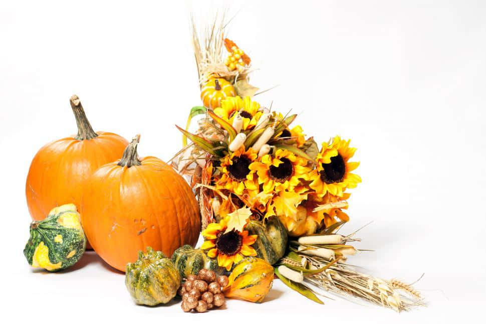 Fall Cornucopia 桌布 壁紙 — 充滿活力的秋季豐收靜物畫，以南瓜、向日葵和小麥為特色，背景為潔淨的白色。