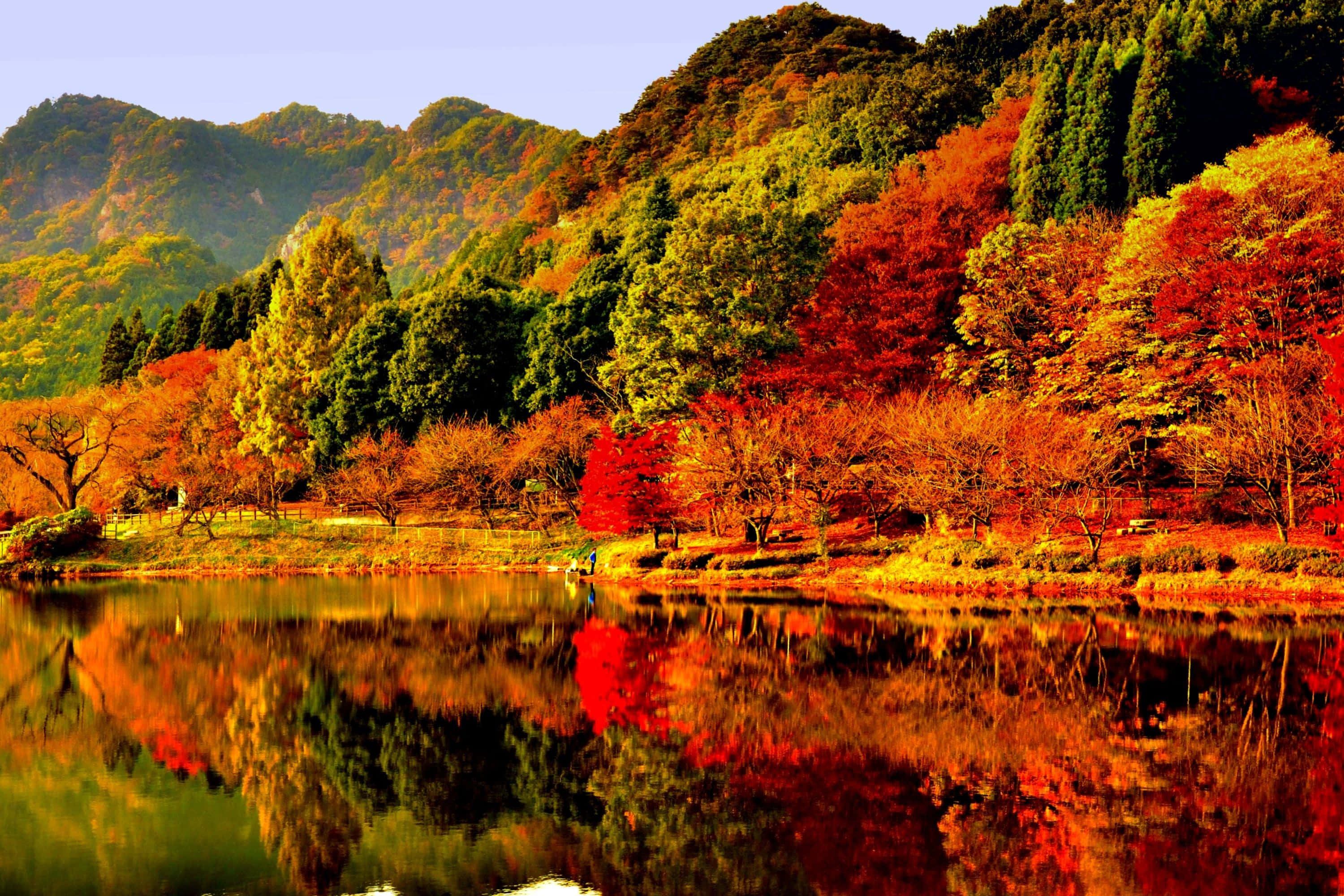 Fall Lake 桌布 壁紙 — 充滿活力的秋樹，火紅與金色在平靜的湖面上完美倒映，四周環繞著森林覆蓋的山脈。