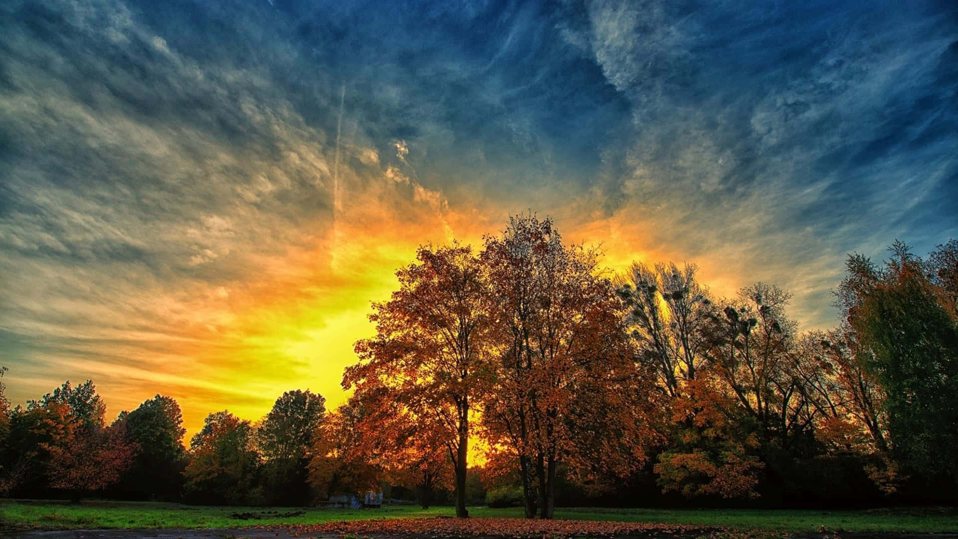 Autumnal Equinox 桌布 壁紙 — 充滿活力的秋樹在戲劇性的日落天空下閃耀，天空中有條紋狀的雲彩和金色的光芒。