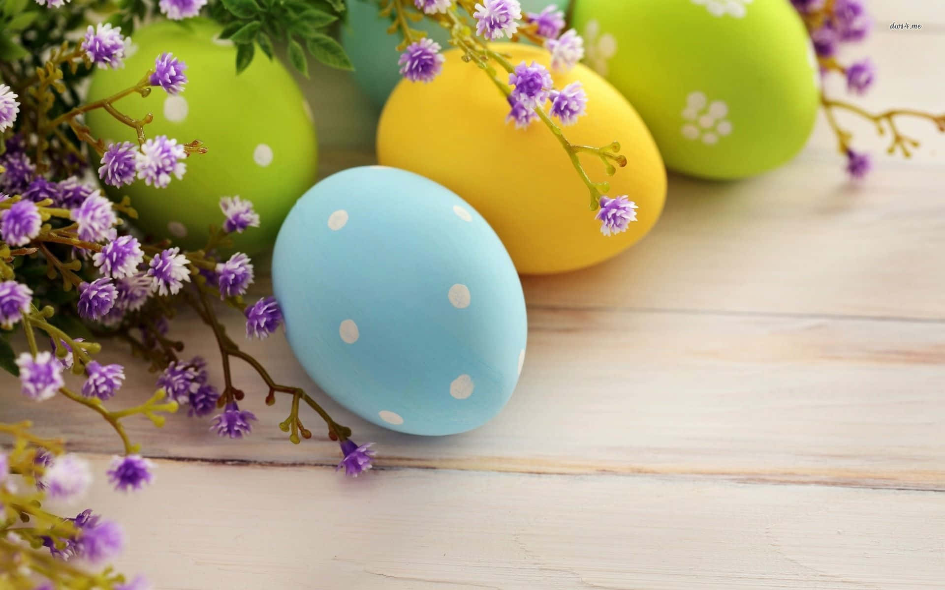 Eggs 桌布 壁紙 — 充滿活力的粉彩復活蛋，帶有白色圓點，點綴在淺色木質表面上的紫色花朵之間。