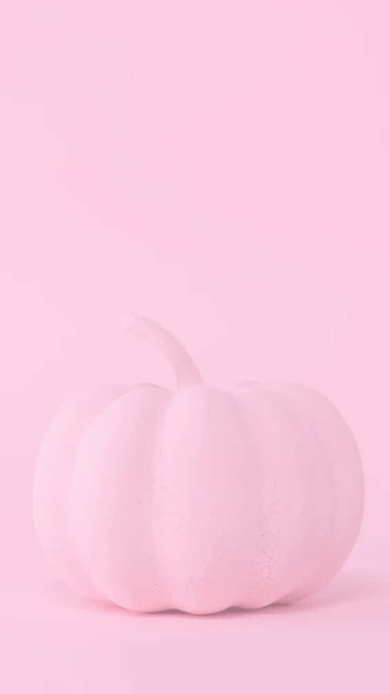 一個淡粉紅色南瓜放在純色粉紅色背景上，光線柔和。