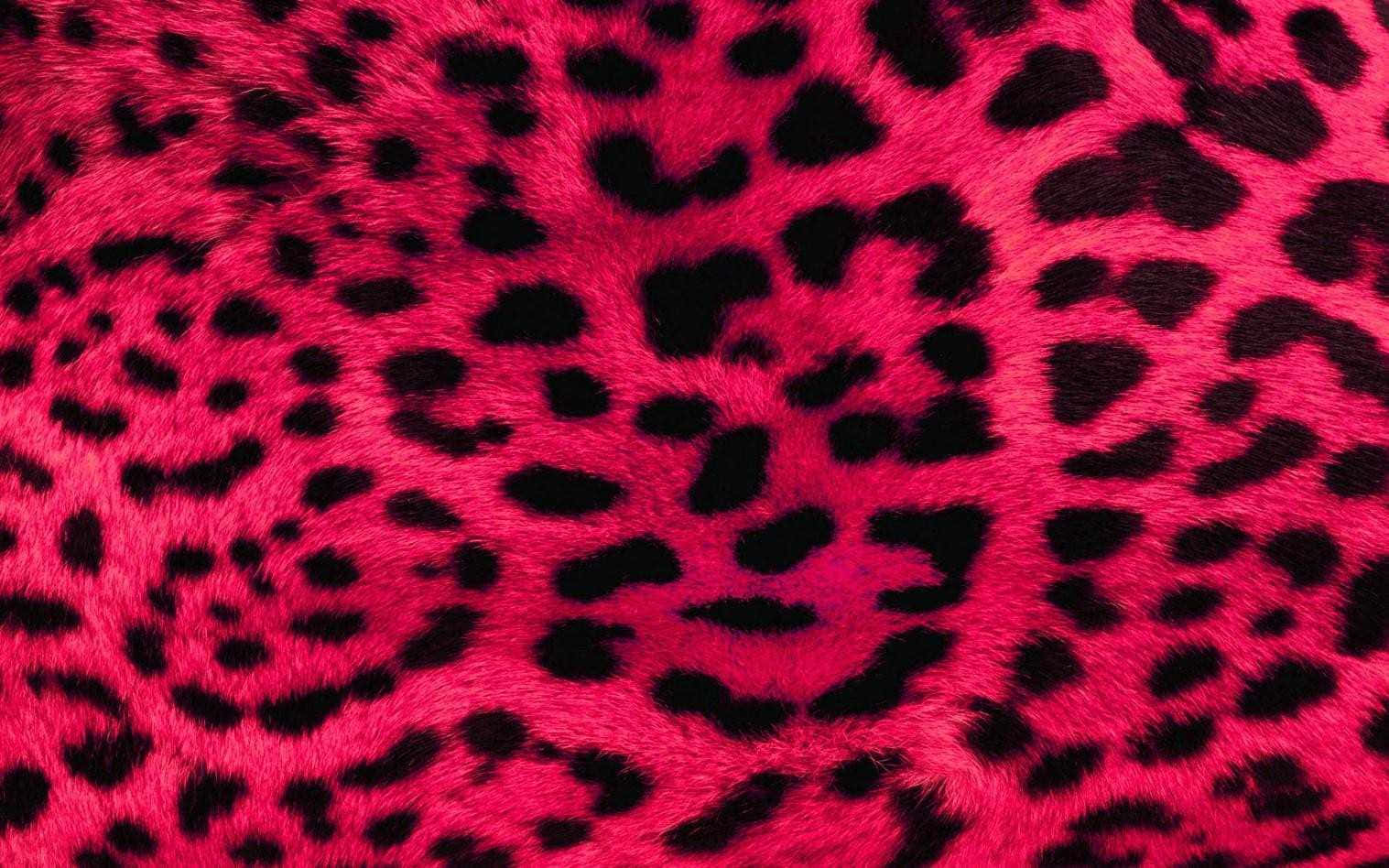 Animal Print 桌布 壁紙 — 充滿活力的粉紅色人造毛皮搭配大膽的黑色豹紋，營造出大膽而奢華的質感。