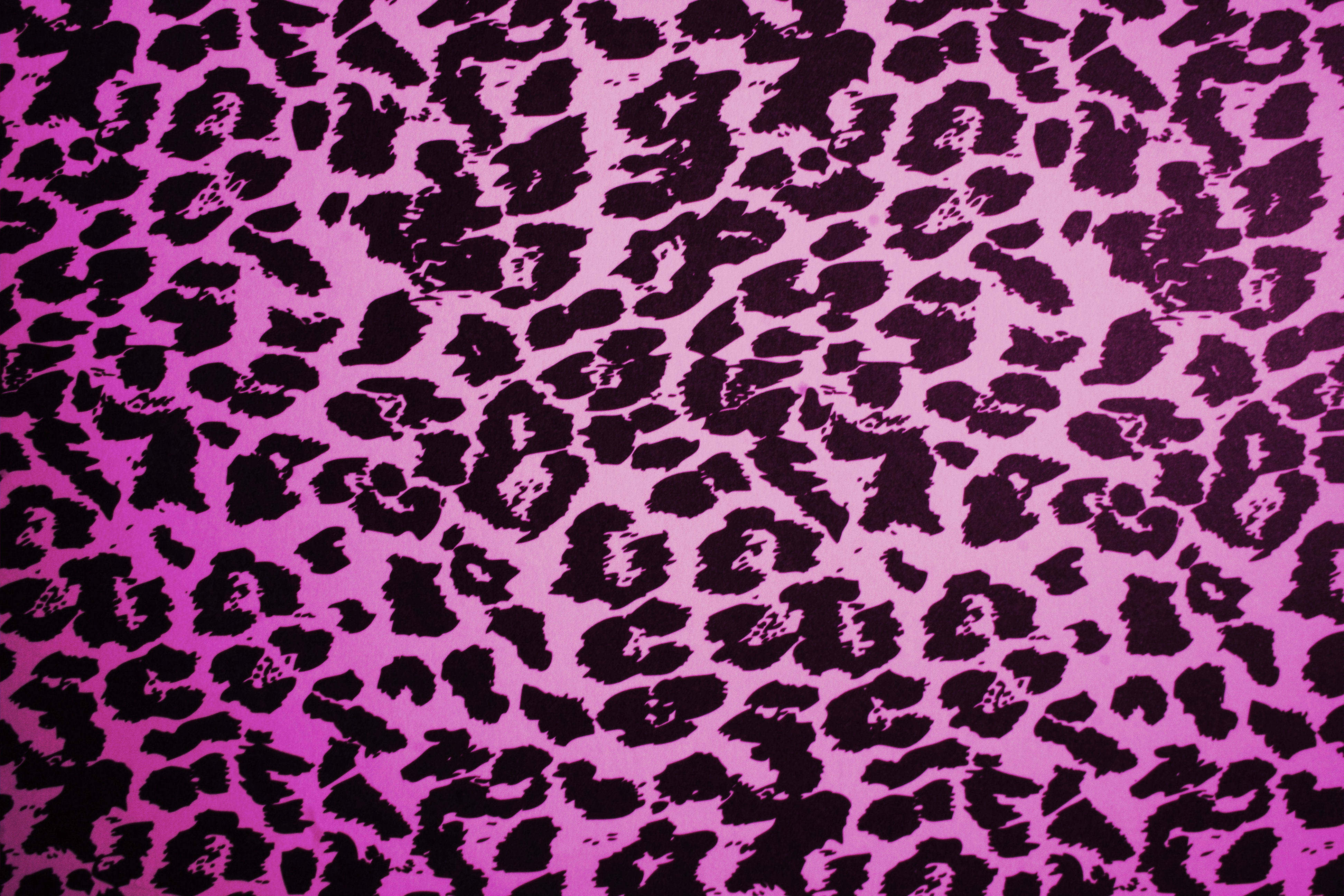 Leopard 桌布 壁紙 — 充滿活力的粉紅色布料，帶有醒目的黑色豹紋斑點，形成重複圖案。