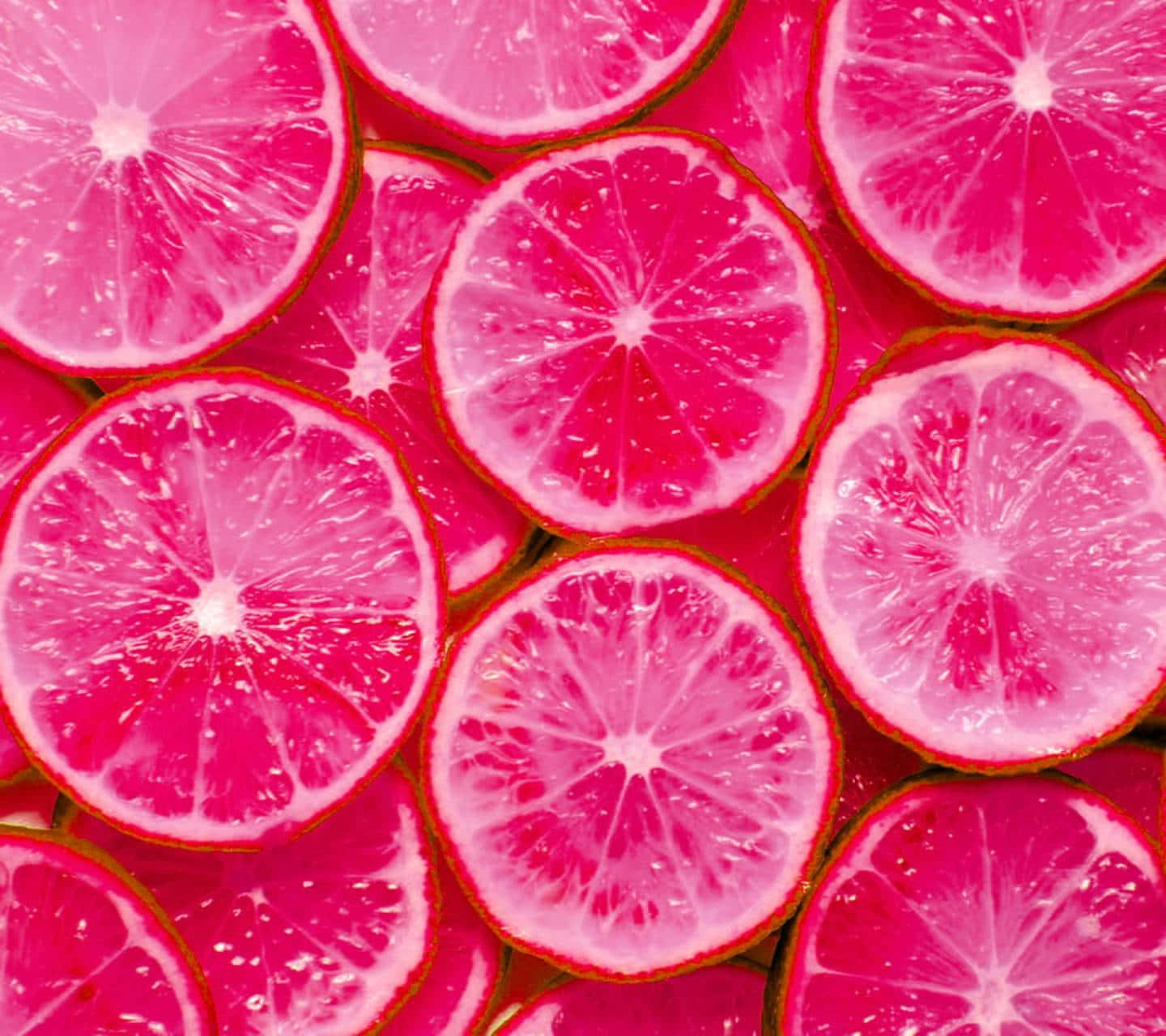 Pink Lemonade 桌布 壁紙 — 充滿活力的粉紅色柑橘切片，排列成密集、多汁且色彩繽紛的圖案，果肉閃閃發光。