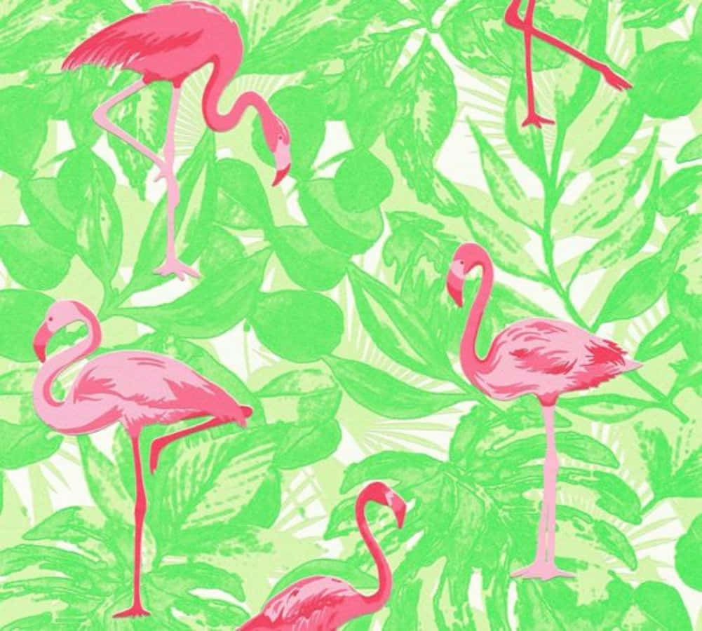 Pink Flamingos 桌布 壁紙 — 充滿活力的粉紅色火烈鳥優雅地站在茂密的綠色熱帶樹葉中，形成大膽的圖案。