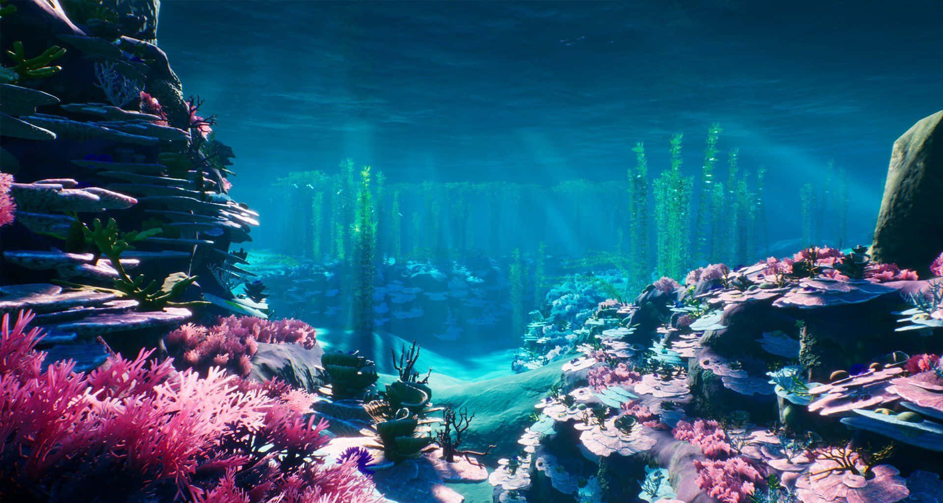 Aquatic 桌布 壁紙 — 充滿活力的粉紅色珊瑚礁和高聳的綠色海帶在寧靜的水下峽谷中隨著陽光搖曳。
