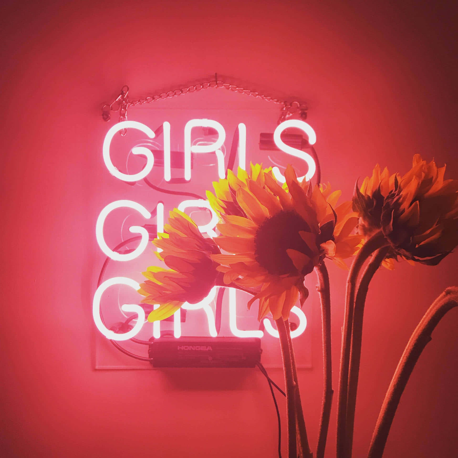 Pastel Red Aesthetic 桌布 壁紙 — 充滿活力的粉紅色霓虹燈牌寫著GIRLS，照亮了向日葵，背景是飽和的紅牆，營造出陰鬱的室內氛圍。