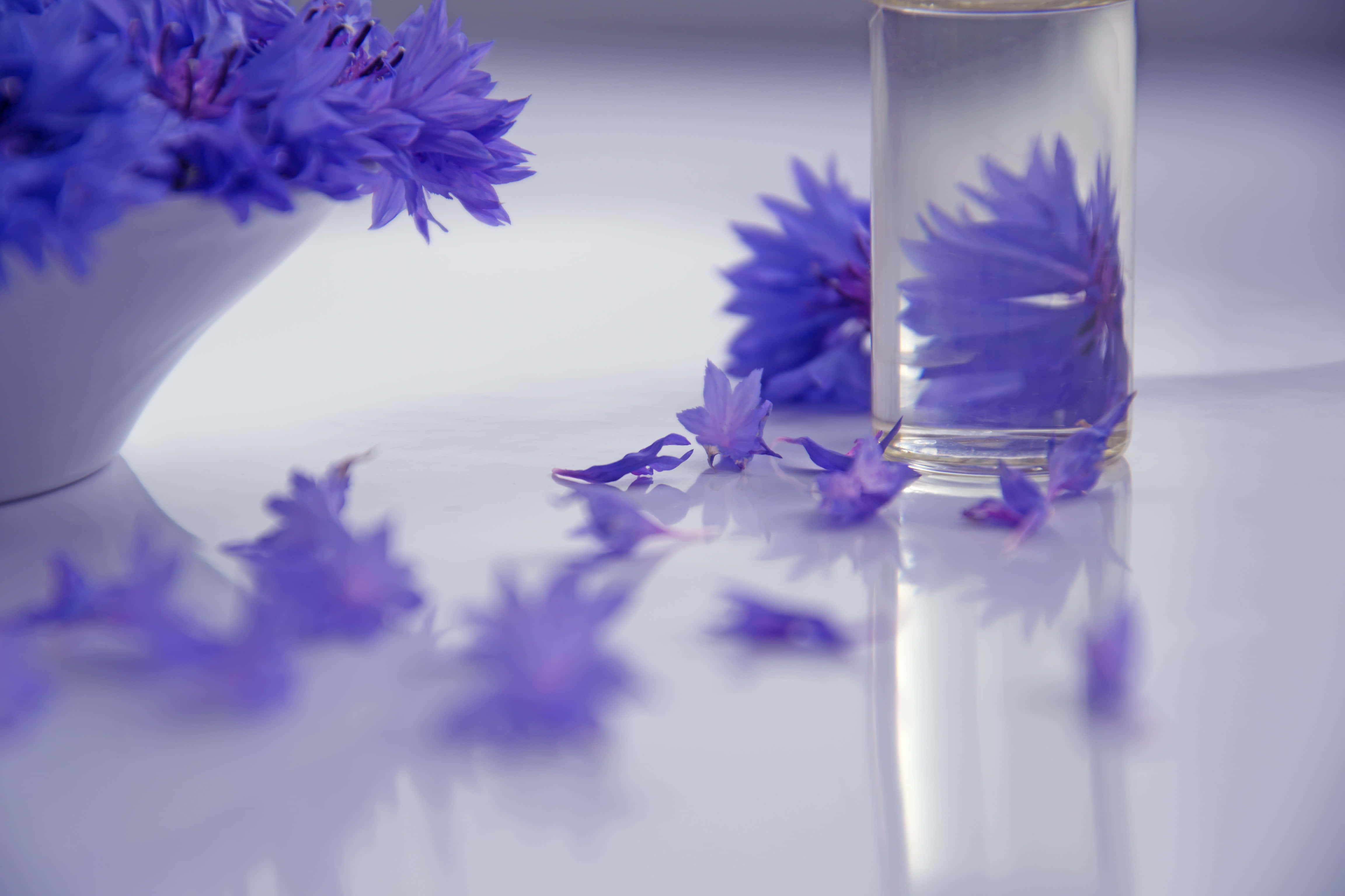 Floral Fragrance 桌布 壁紙 — 充滿活力的紫色矢車菊放在白色碗中，並漂浮在反射表面上的水杯裡。