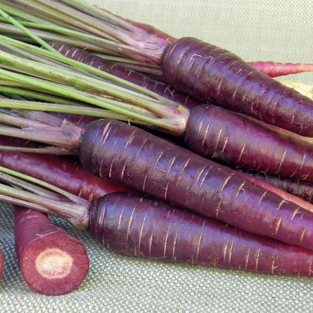 Purple Carrots 桌布 壁紙 — 充滿活力的紫色胡蘿蔔特寫，帶有綠色頂部，放在有紋理的米色布料上。