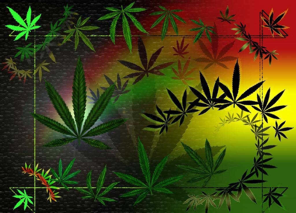 大麻 桌布 壁紙 — 充滿活力的綠色、黃色和紅色大麻葉在紋理深色背景周圍形成發光邊框。