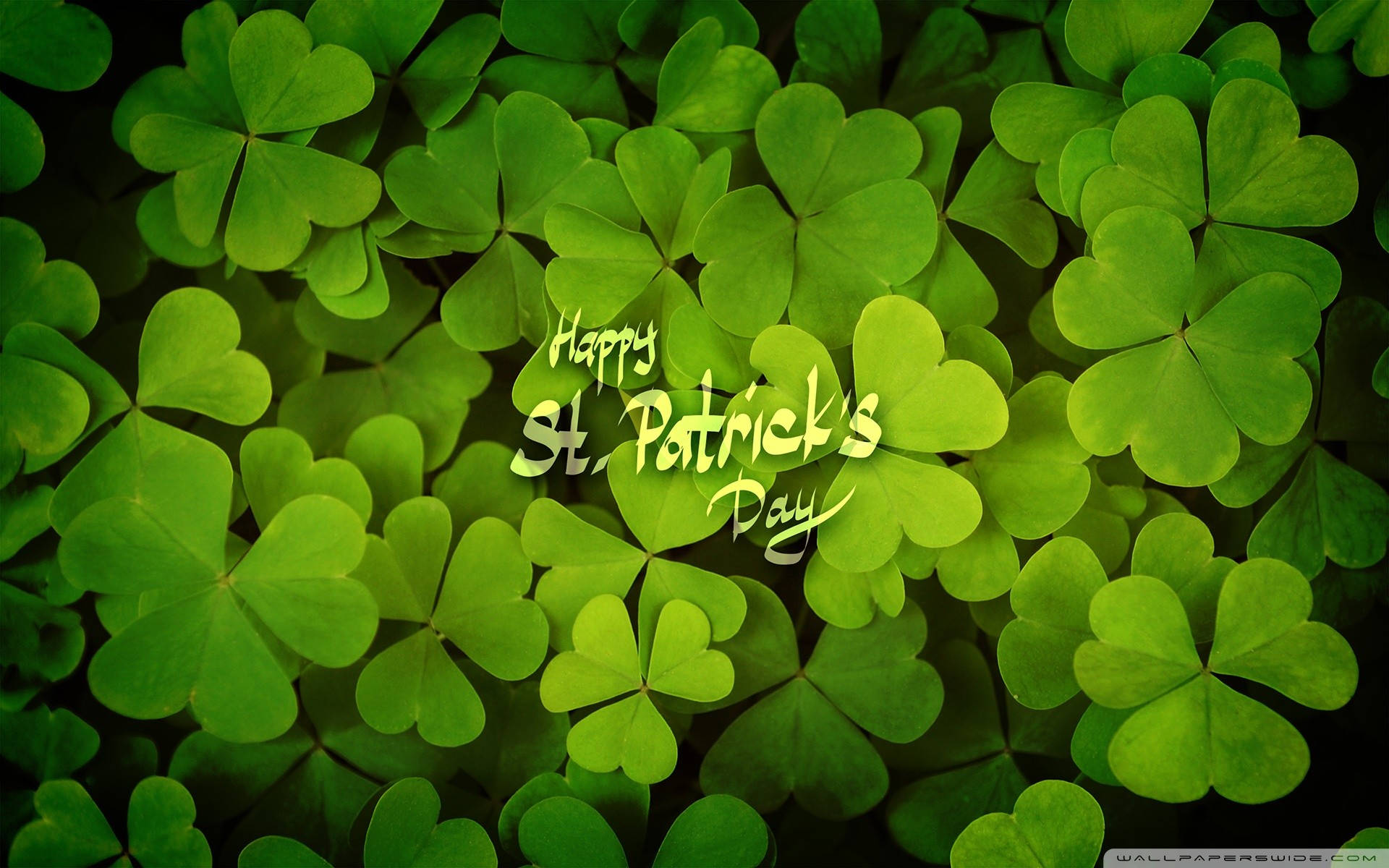 St Patrick's Day 桌布 壁紙 — 充滿活力的綠色三葉草葉片緊密排列，帶有發光的文字 Happy St Patrick's Day。