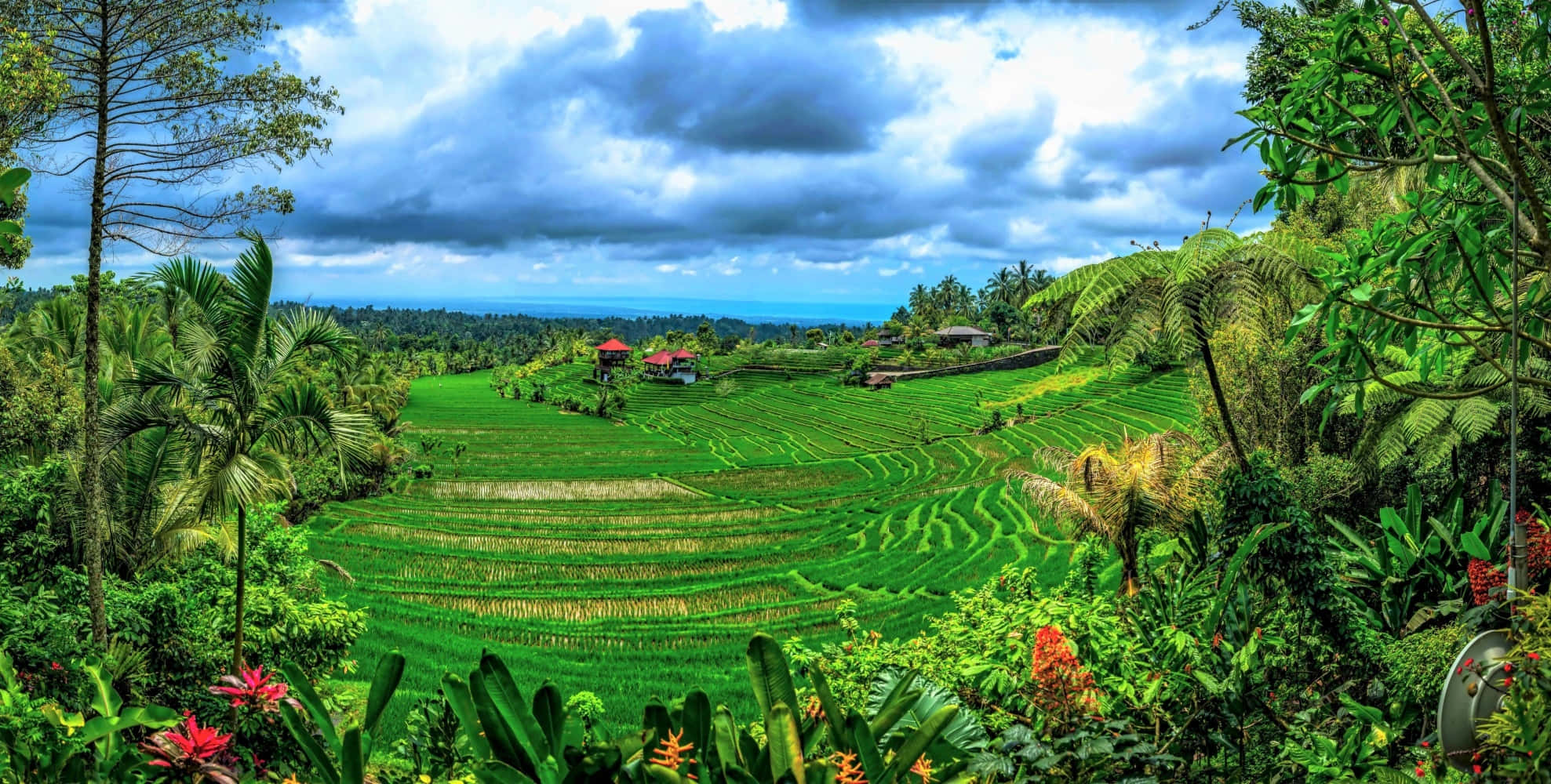 Indonesia 桌布 壁紙 — 充滿活力的綠色梯田在戲劇性的多雲天空下，沿著鬱鬱蔥蔥的山丘層層疊疊，熱帶植物框住了景色。