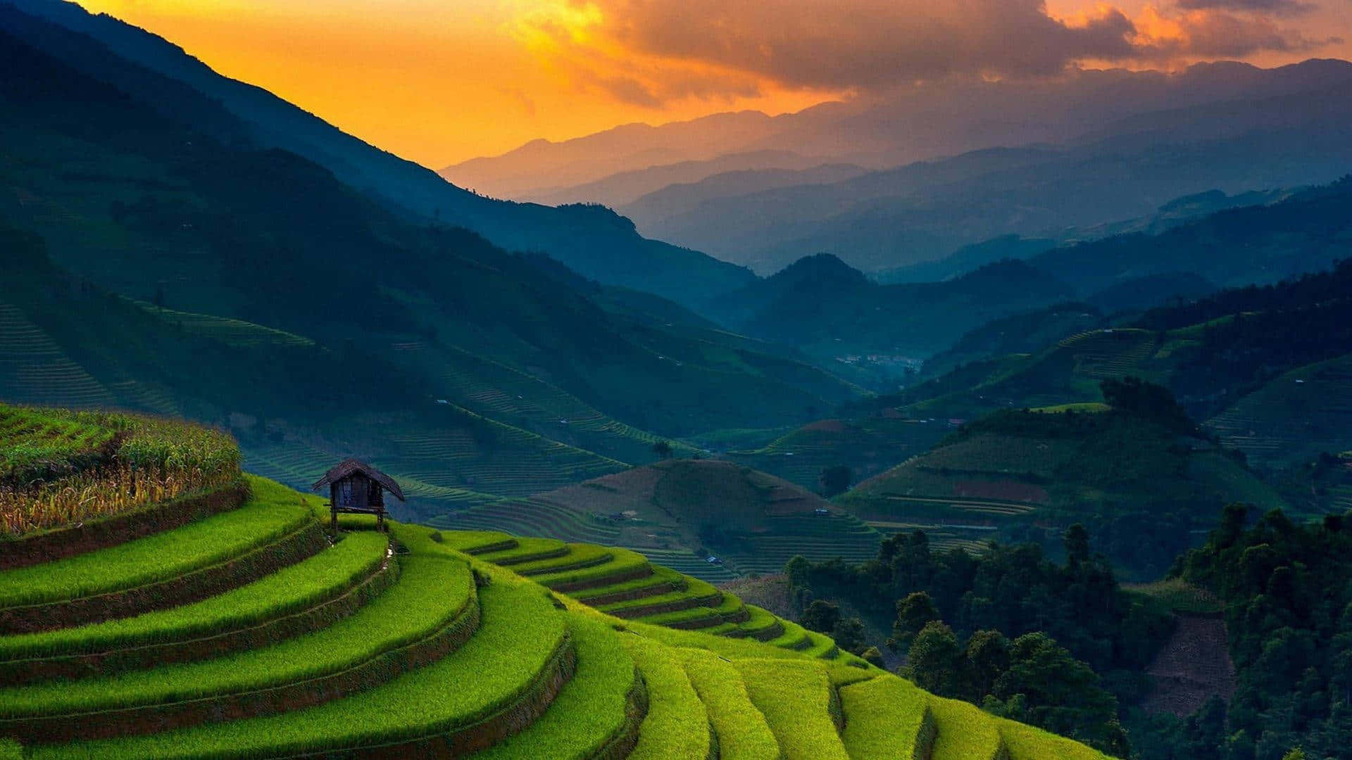Philippines 桌布 壁紙 — 充滿活力的綠色梯田在火紅橙色日落天空下，沿著霧氣繚繞的山脈層層疊疊而下。