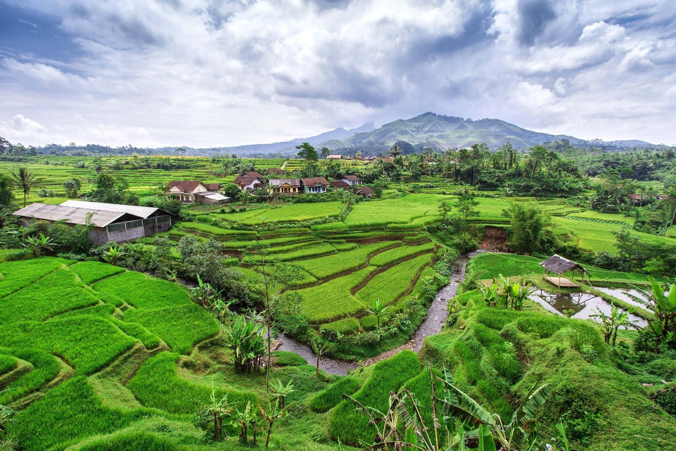 Indonesia 桌布 壁紙 — 充滿活力的綠色梯田沿著起伏的山丘層層疊疊，在戲劇性的多雲天空下，遠處有山脈和散落的村莊房屋。