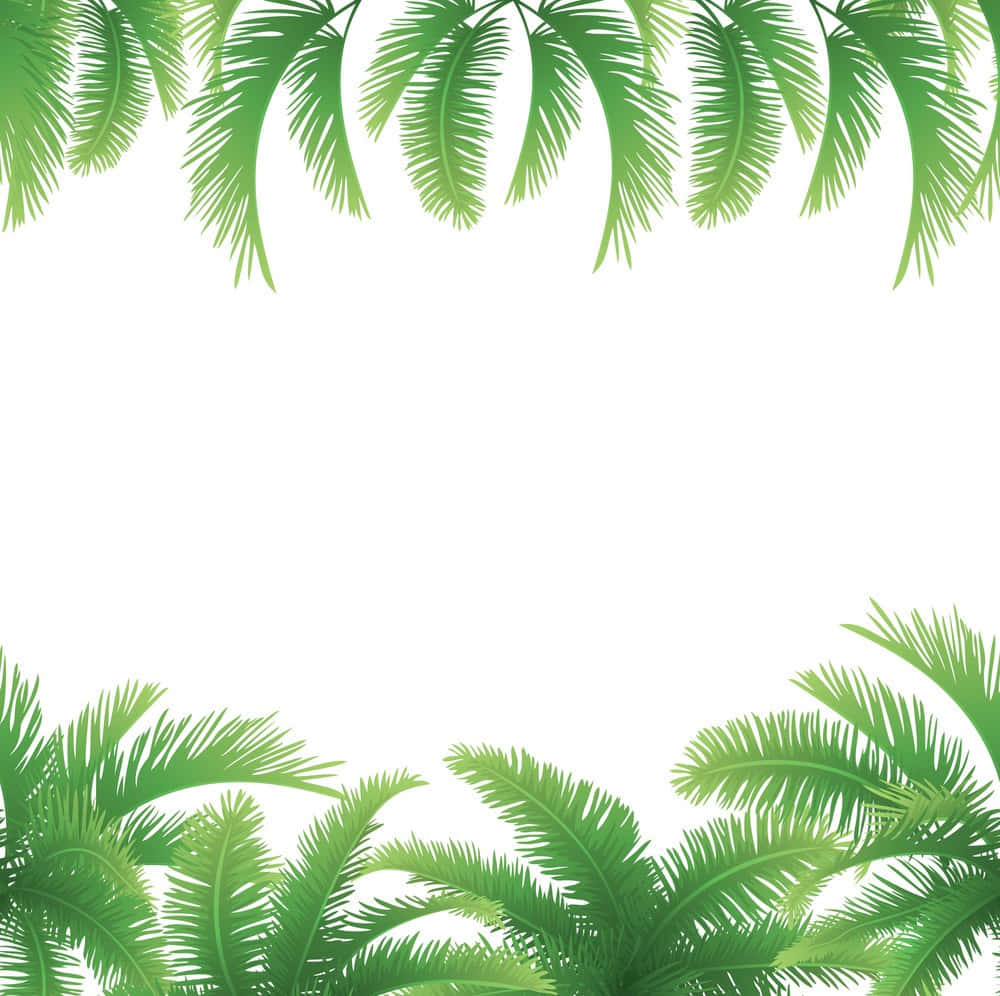 Palm 桌布 壁紙 — 充滿活力的綠色棕櫚葉框住純白背景的頂部和底部，營造出熱帶邊框。