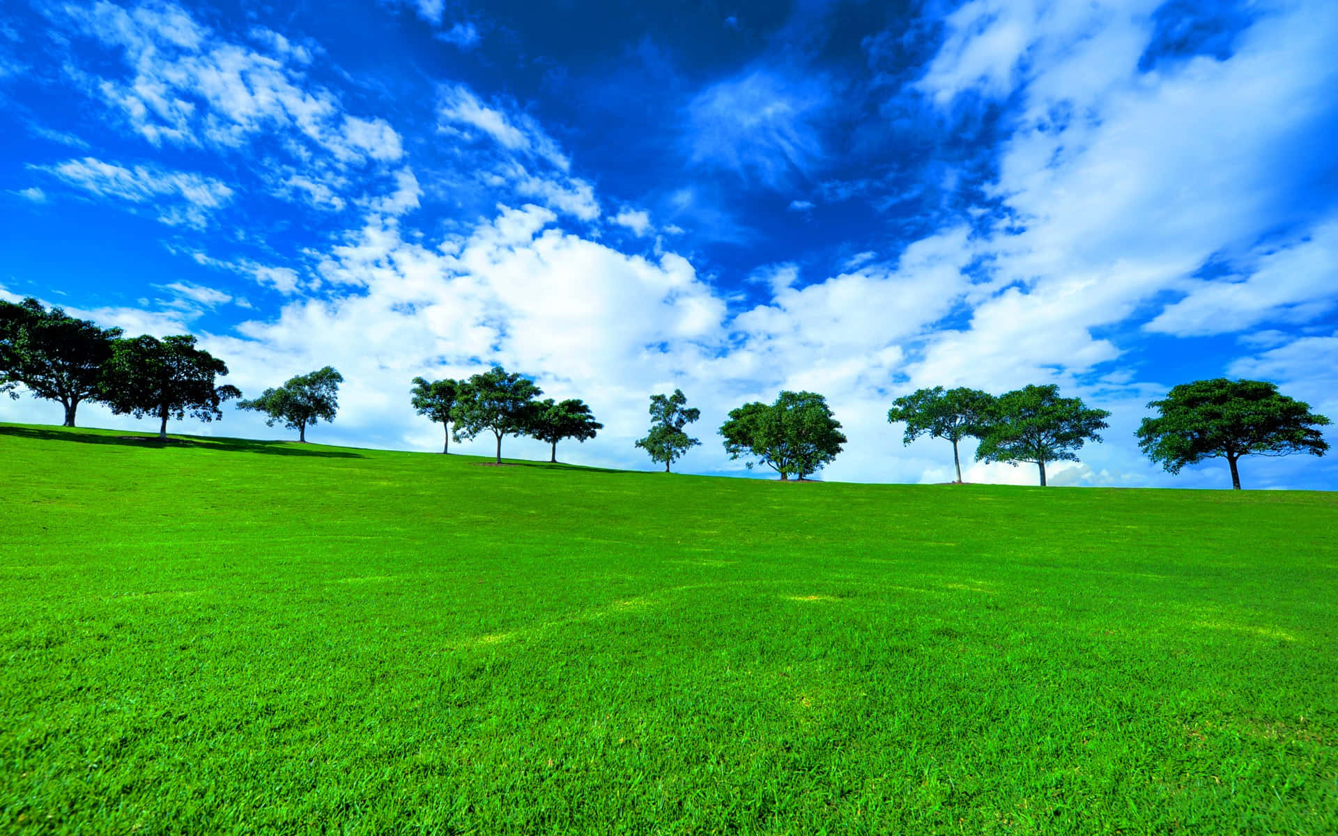 Green Landscape 桌布 壁紙 — 充滿活力的綠色草丘，點綴著稀疏的樹木，在燦爛的藍天下有蓬鬆的白雲。