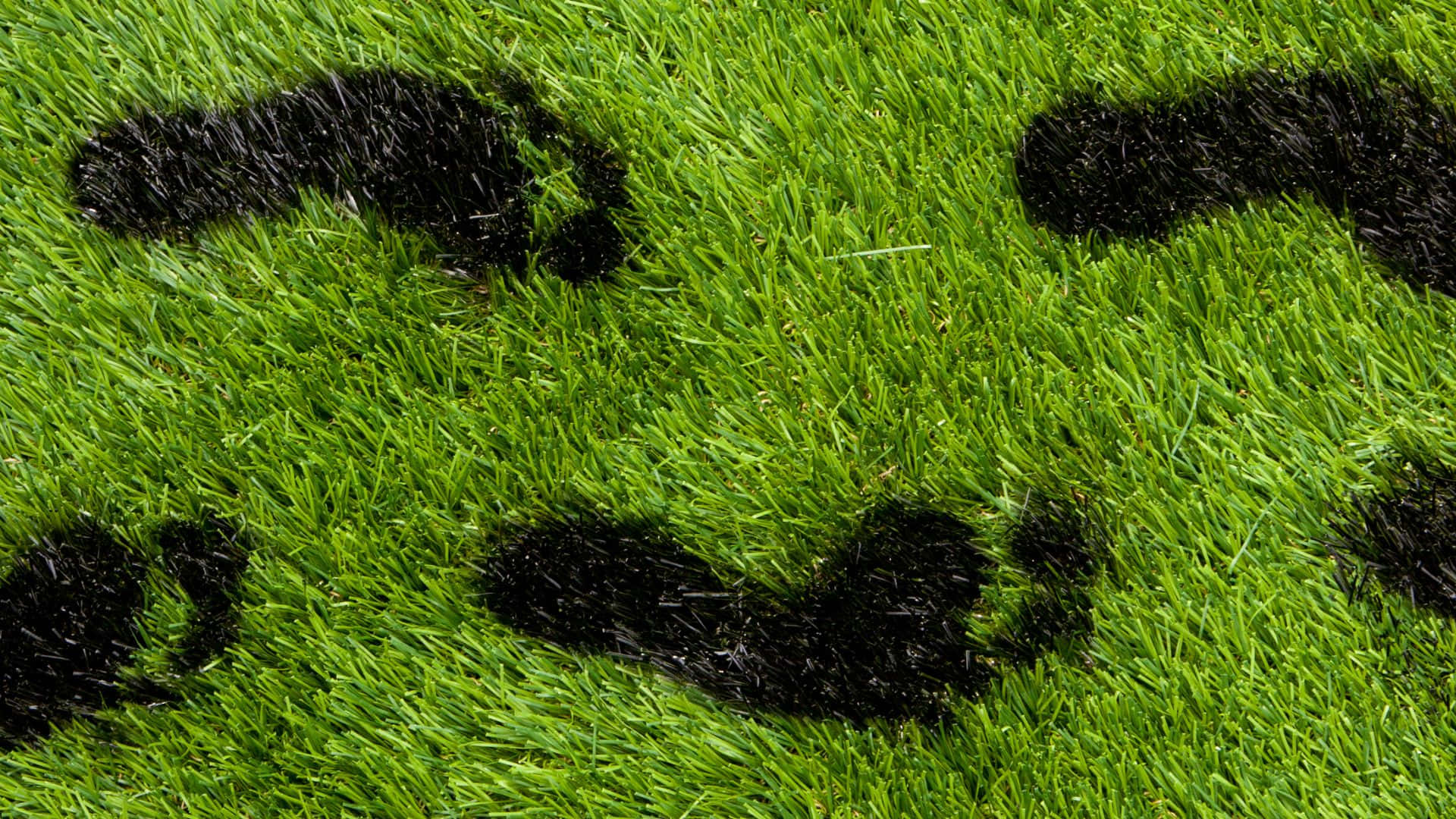 Carbon Footprint 桌布 壁紙 — 充滿活力的綠色草地，帶有深色濕腳印，形成一個俏皮的笑臉圖案。