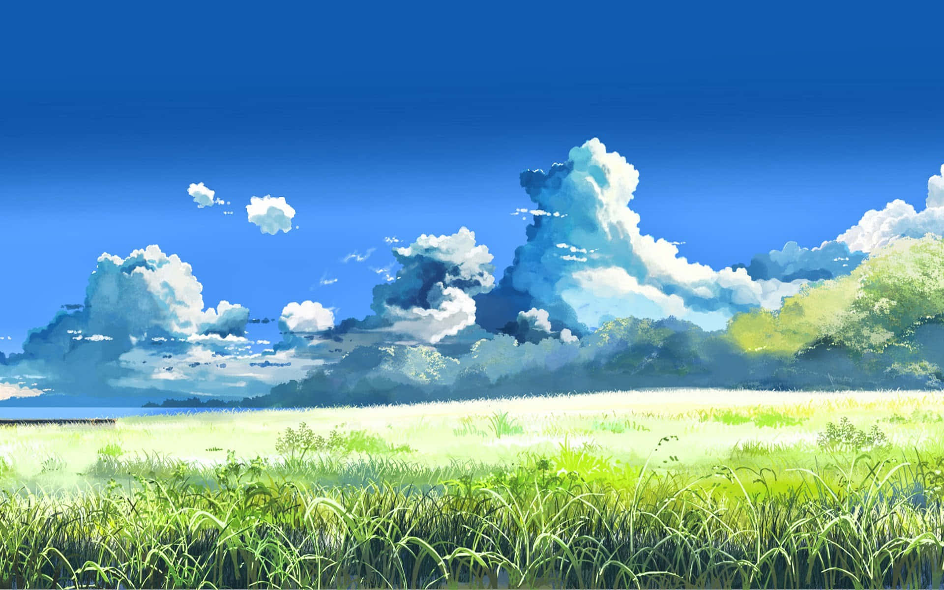 Anime Sky 桌布 壁紙 — 充滿活力的綠色草地延伸至遠處的樹木，上方是廣闊的藍天和蓬鬆的白雲。