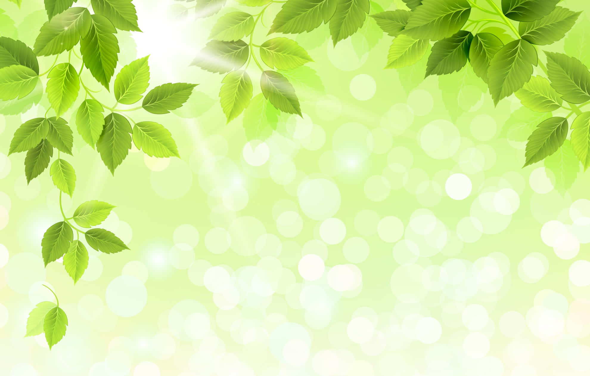 Leaves 桌布 壁紙 — 充滿活力的綠葉框住柔和發光的背景，帶有散景光效。