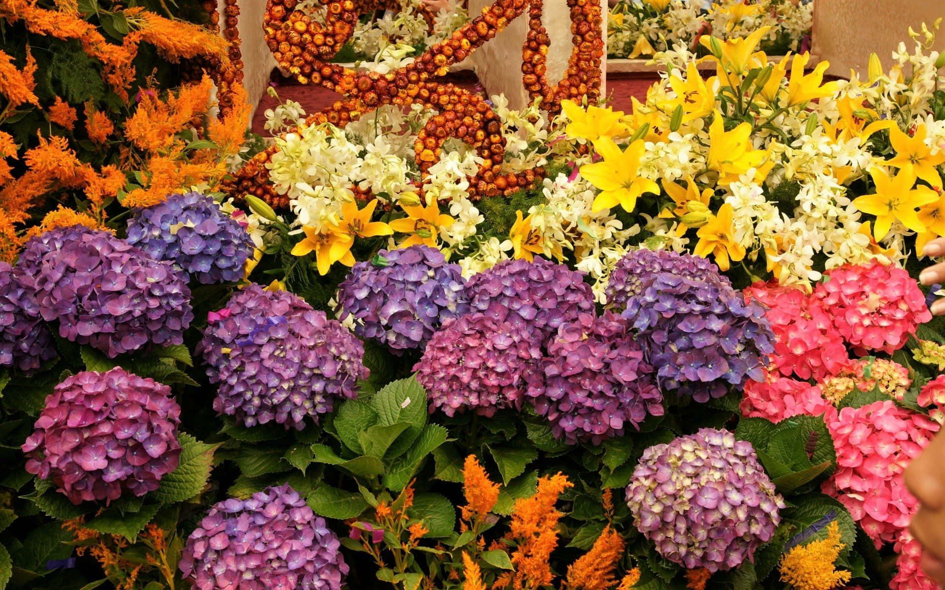 Flower Shop 桌布 壁紙 — 充滿活力的花束，由紫色、粉紅色、黃色和橙色花朵組成，搭配翠綠葉片，形成茂密簇生。