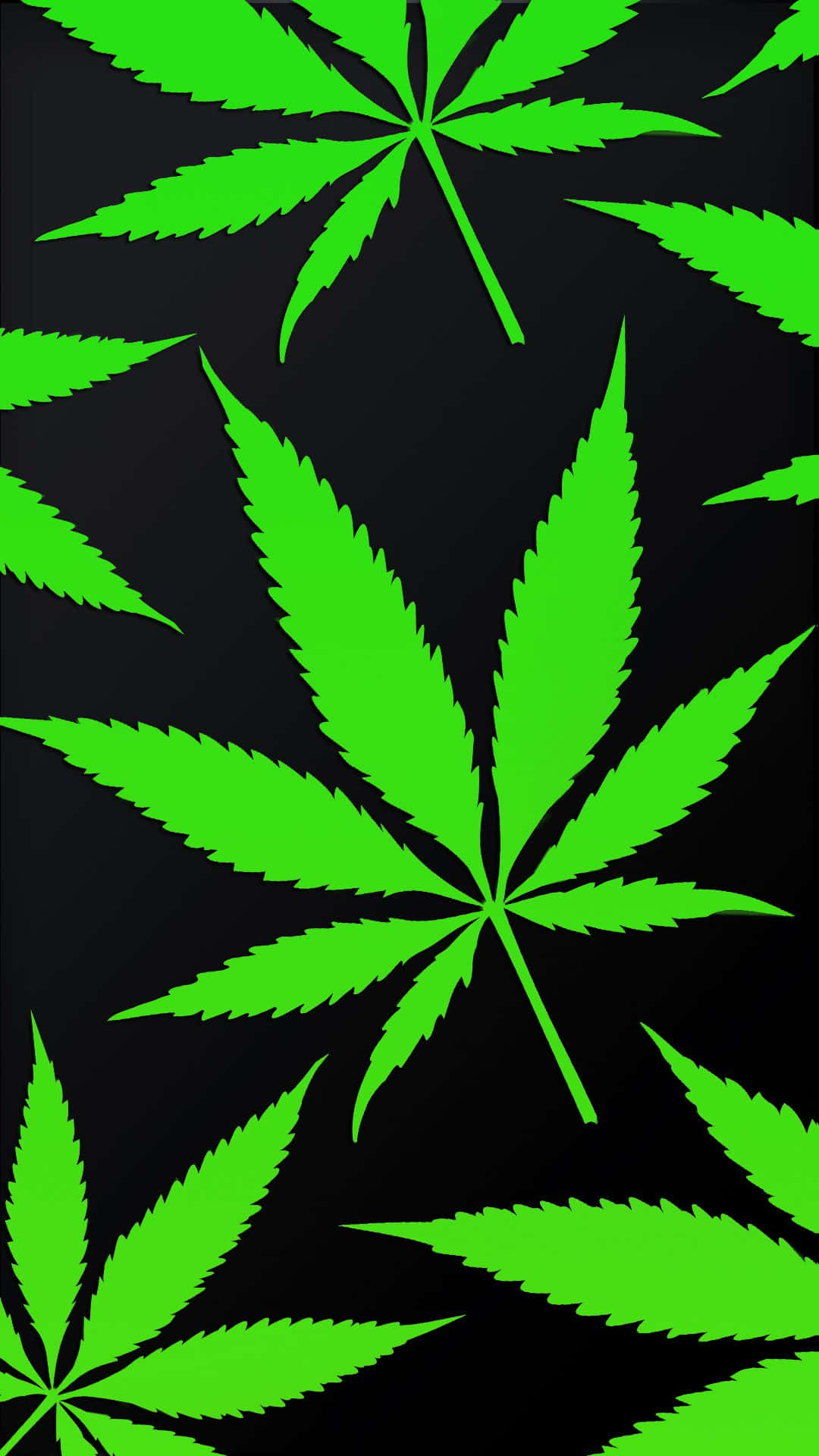 Weed Leaf 桌布 壁紙 — 充滿活力的螢光綠色大麻葉在純黑色背景上以大膽的圖案漂浮。
