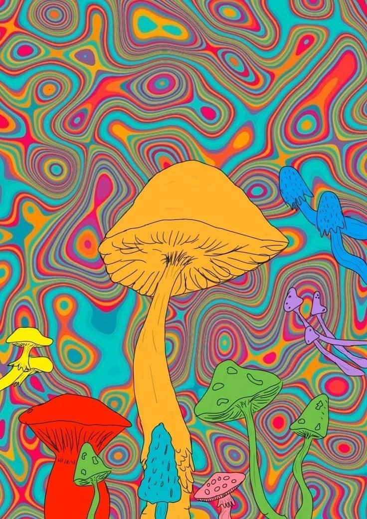 Trippy Mushroom 桌布 壁紙 — 充滿活力的迷幻蘑菇從催眠圖案的漩渦彩虹漩渦中升起。
