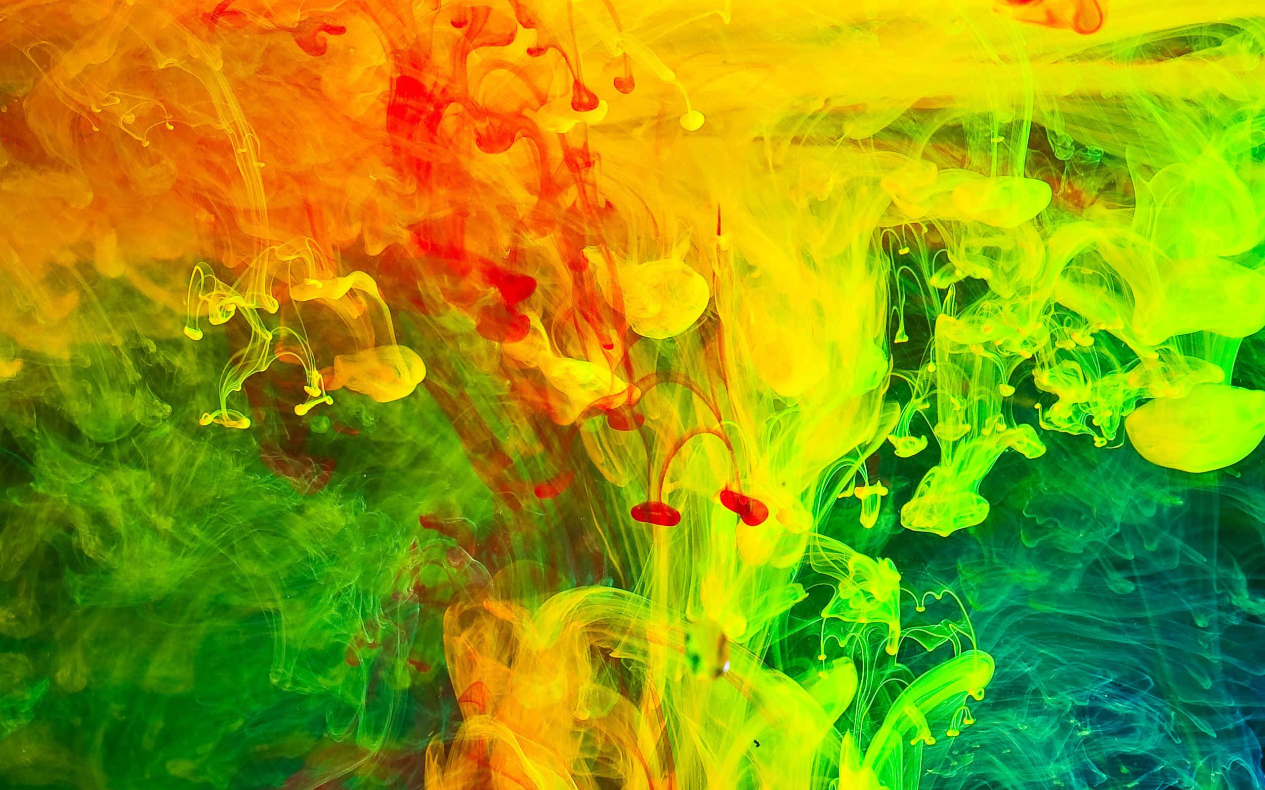colors 桌布 壁紙 — 充滿活力的霓虹墨水在水中旋轉綻放，形成電光橙、黃、綠、藍色的爆炸效果。