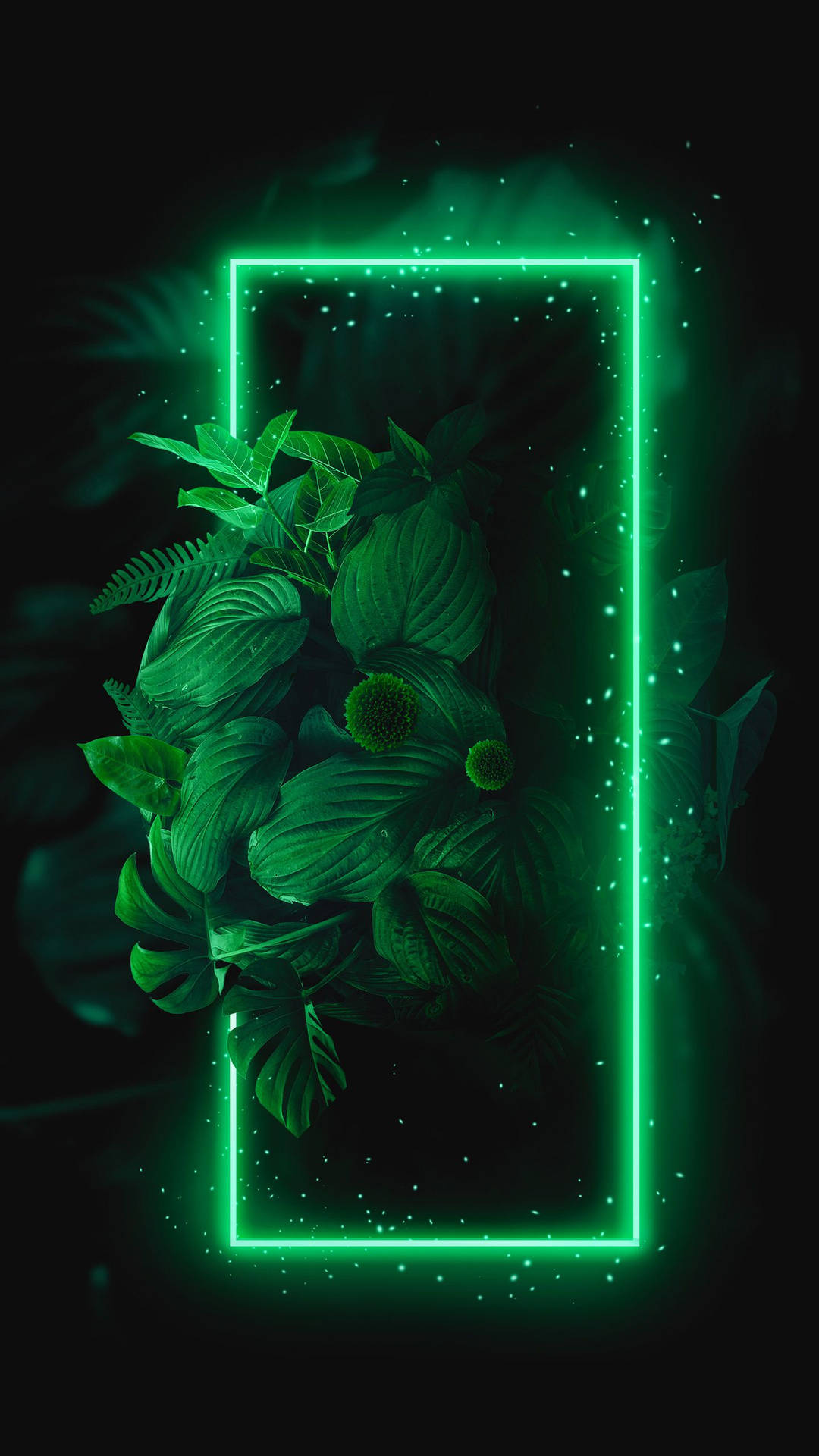 黑色背景上帶有熱帶樹葉和閃光的霓虹綠色發光框 — 深綠色美學動態圖 壁紙