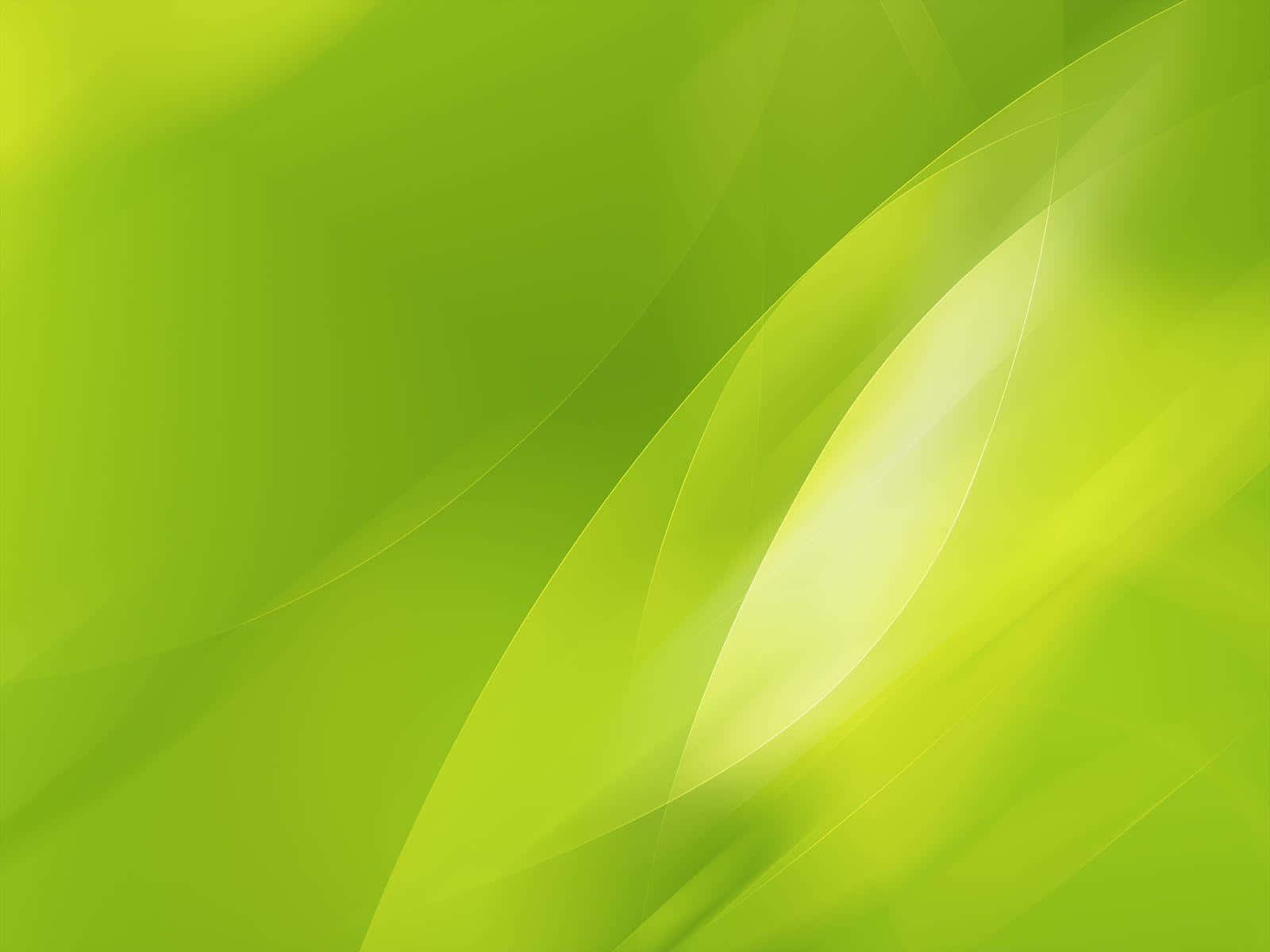 Hijau 桌布 壁紙 — 充滿活力的青檸綠色抽象背景，帶有柔和流暢的曲線和發光的高光。