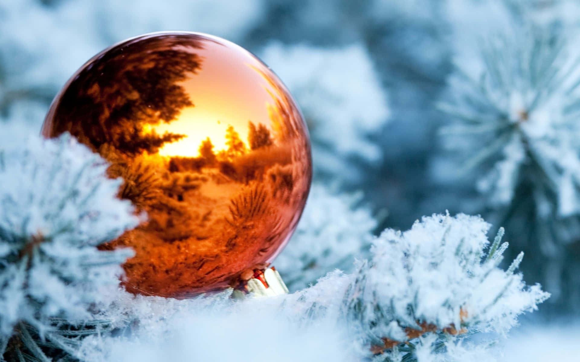 銅製裝飾在白雪覆蓋的松樹枝上反射夕陽
