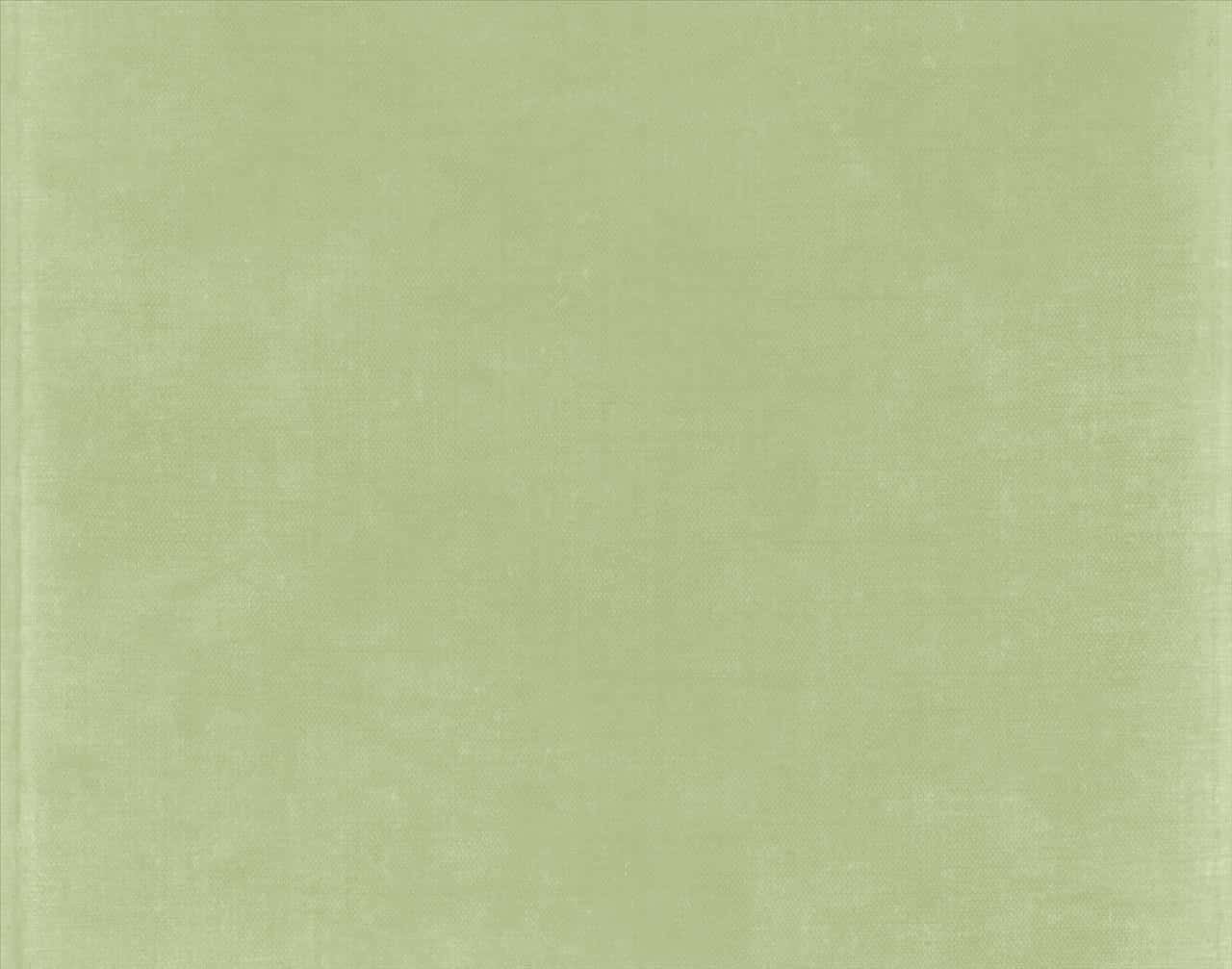 sage green aesthetic 桌布 壁紙 — 光滑的淡綠色布料，帶有細微紋理和均勻照明。