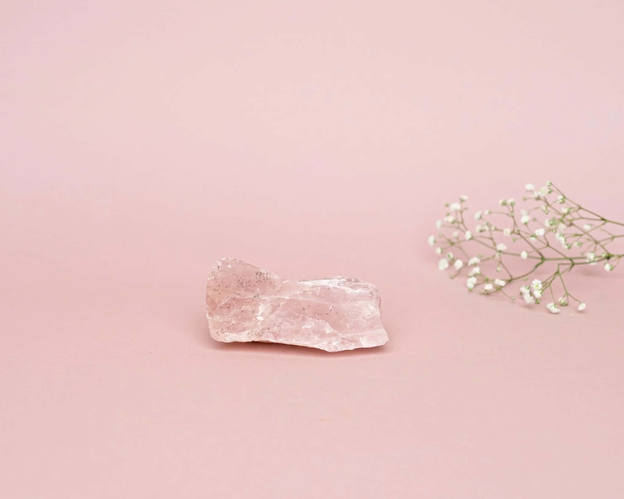 Pink Crystal Quartz 桌布 壁紙 — 光滑的粉紅玫瑰石英晶體與精緻的滿天星花朵一起放在柔和的胭脂色背景上。