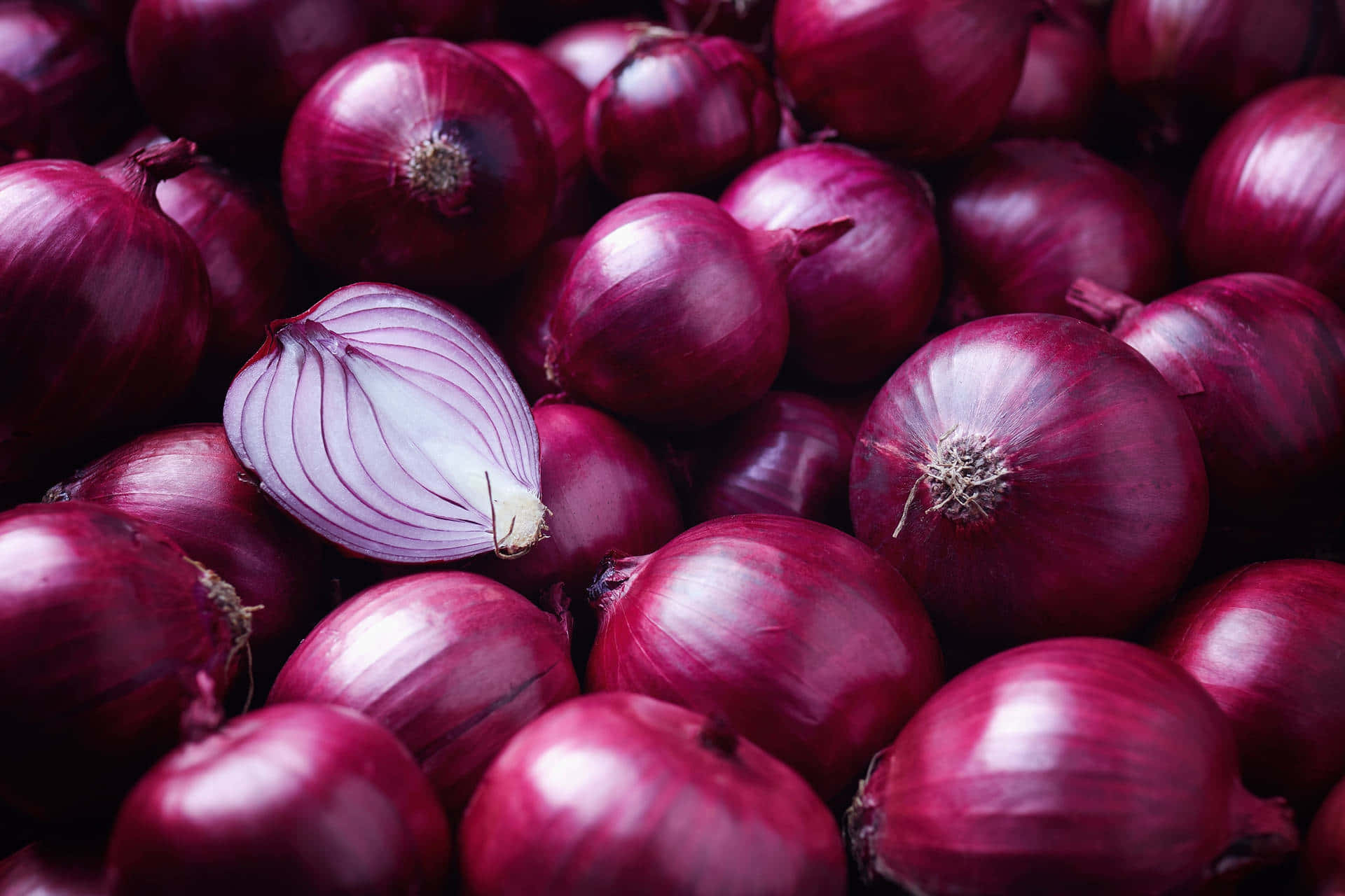 Purple Onions 桌布 壁紙 — 光澤紅洋蔥的特寫，其中一個被切開，露出層層白色果肉。
