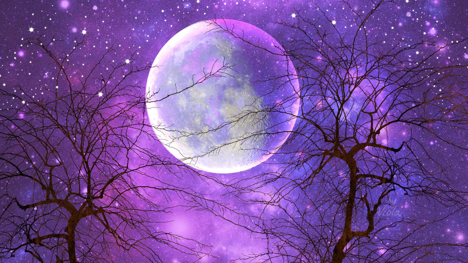 光禿禿的樹木剪影，襯托著發光的月亮和紫色星空。 — 月亮與星星動畫 壁紙