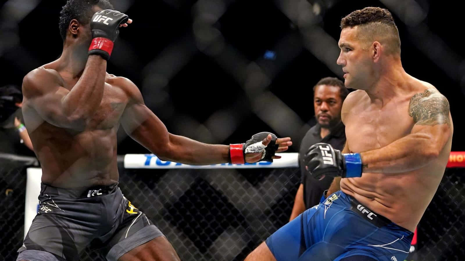 兩名戴著MMA手套的男性拳手在八角籠內互相出拳。