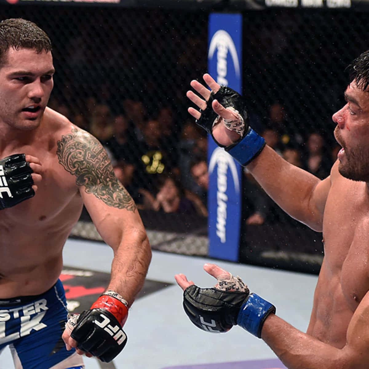 兩名男性MMA拳手在籠中進行激烈比賽。