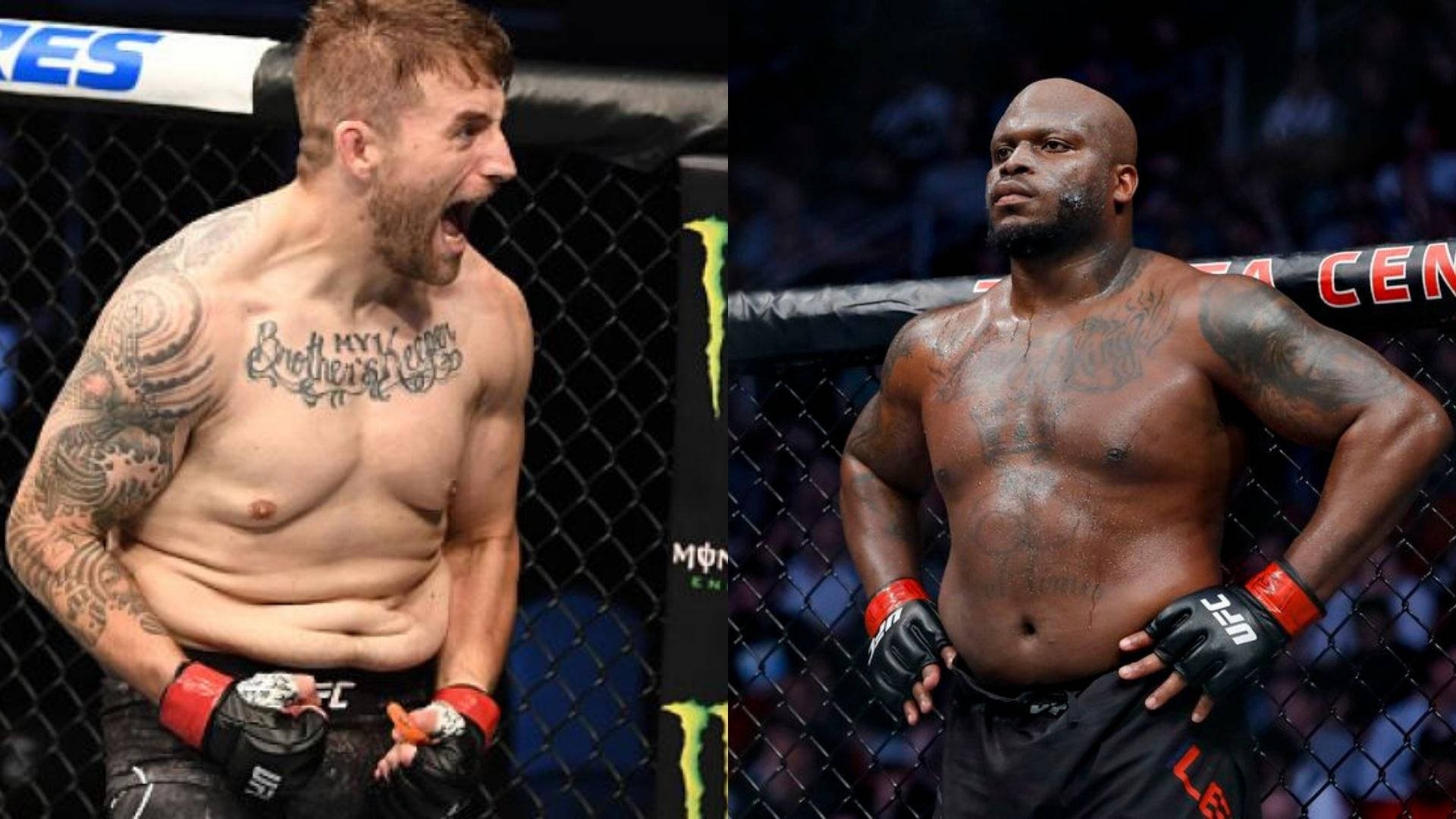 八角籠中的兩名MMA拳手，一人慶祝，一人靜止。