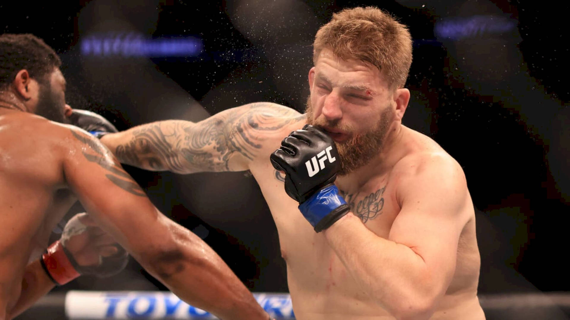 籠中的兩位MMA拳手，其中一人出拳。