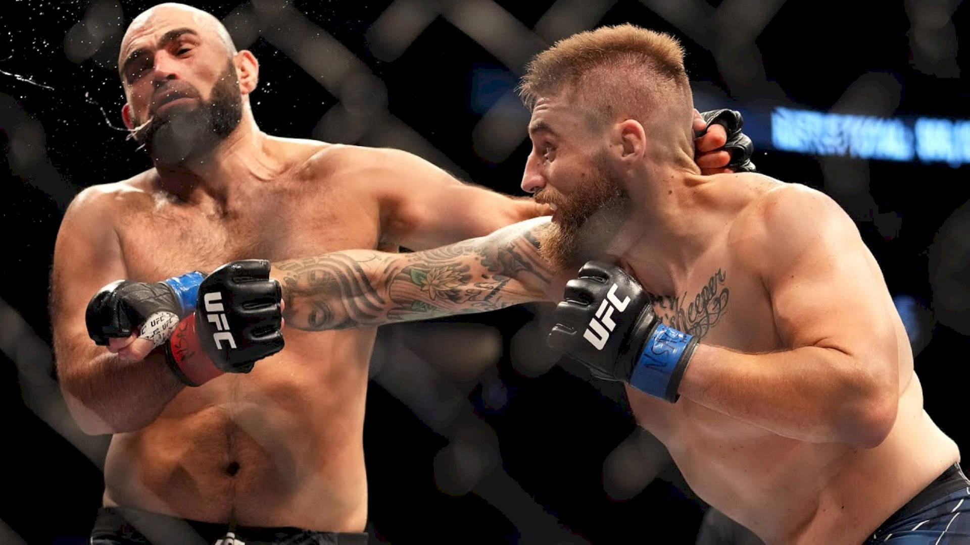 兩名男性MMA拳手在職業比賽中於鐵籠內互相出拳。