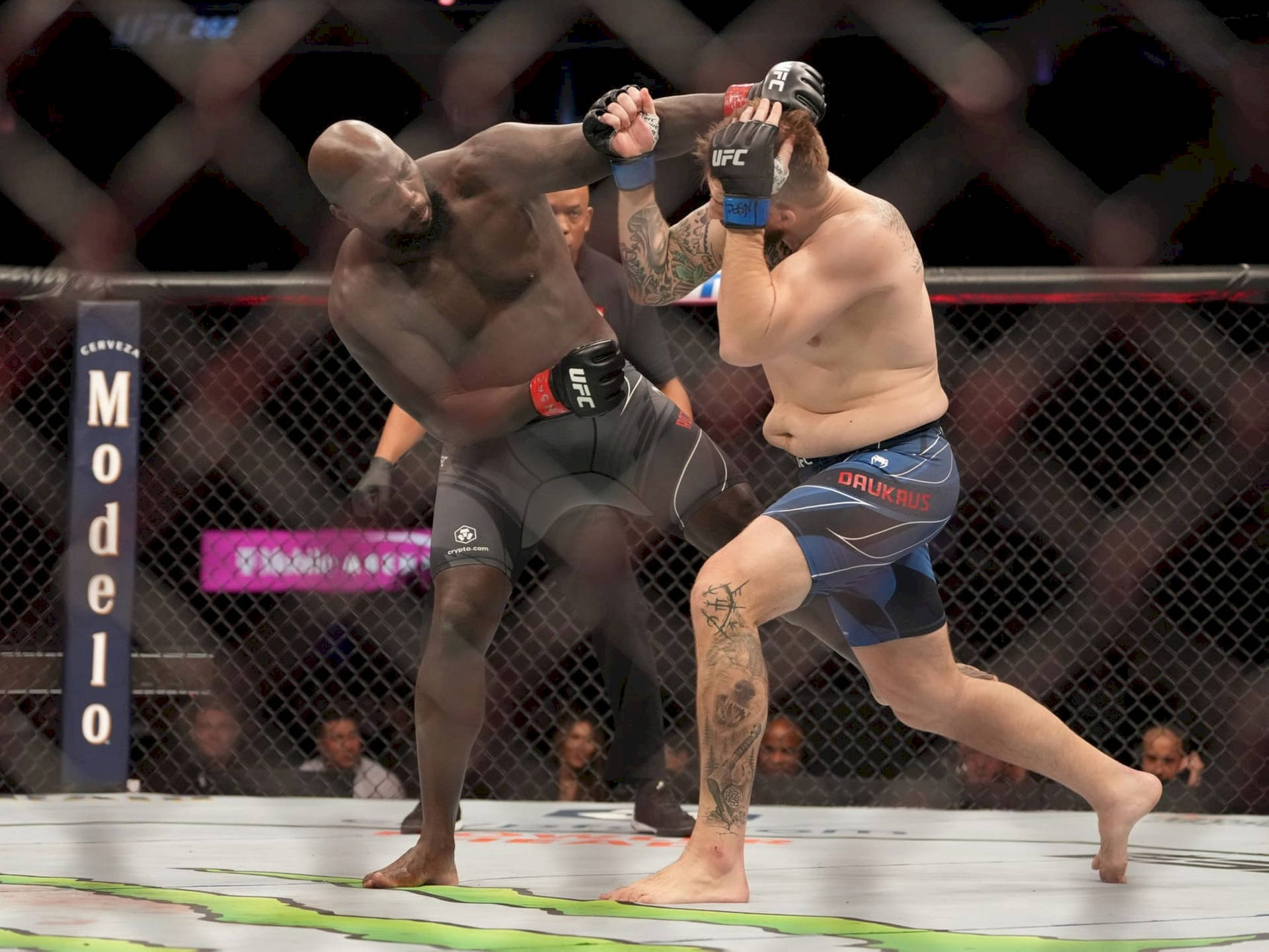 兩名男性MMA拳手在現場賽事中於UFC八角籠內纏鬥。